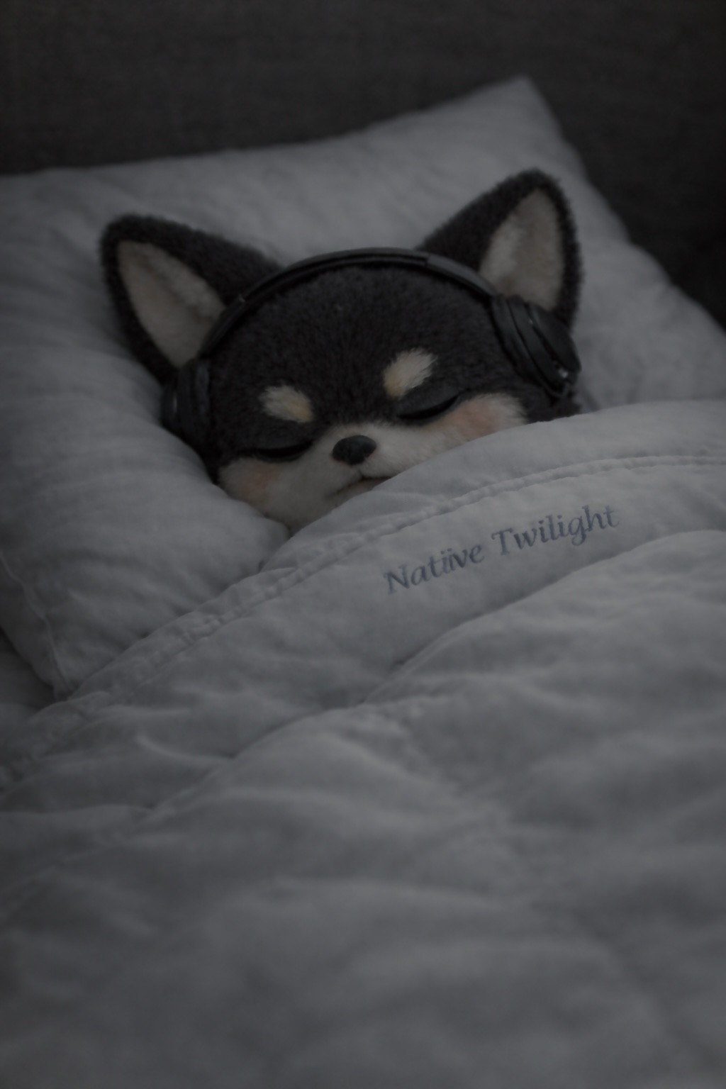 # 도란 도란 도롱 도롱