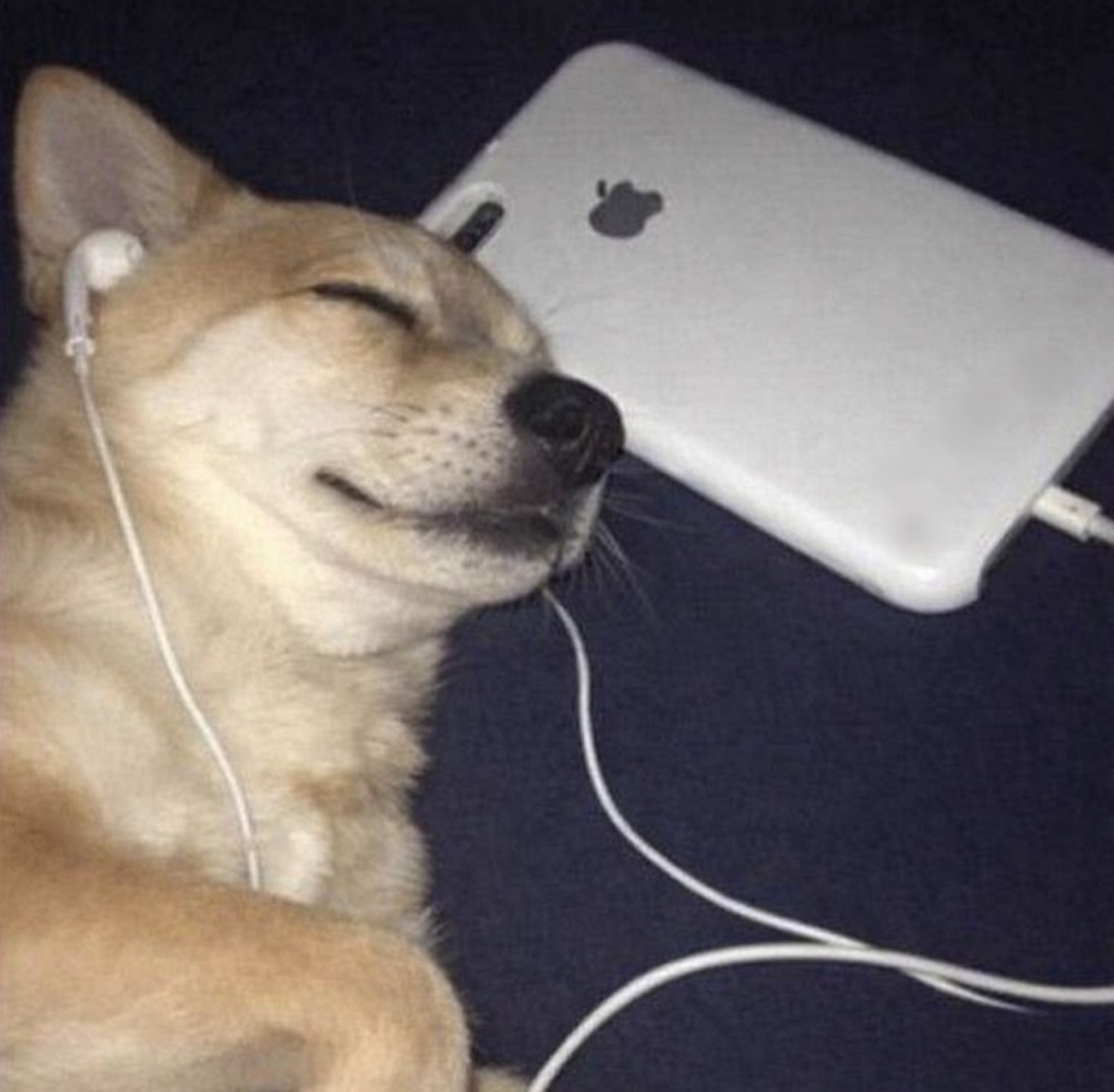 잔잔한~세온의 고민상담💕 아무나