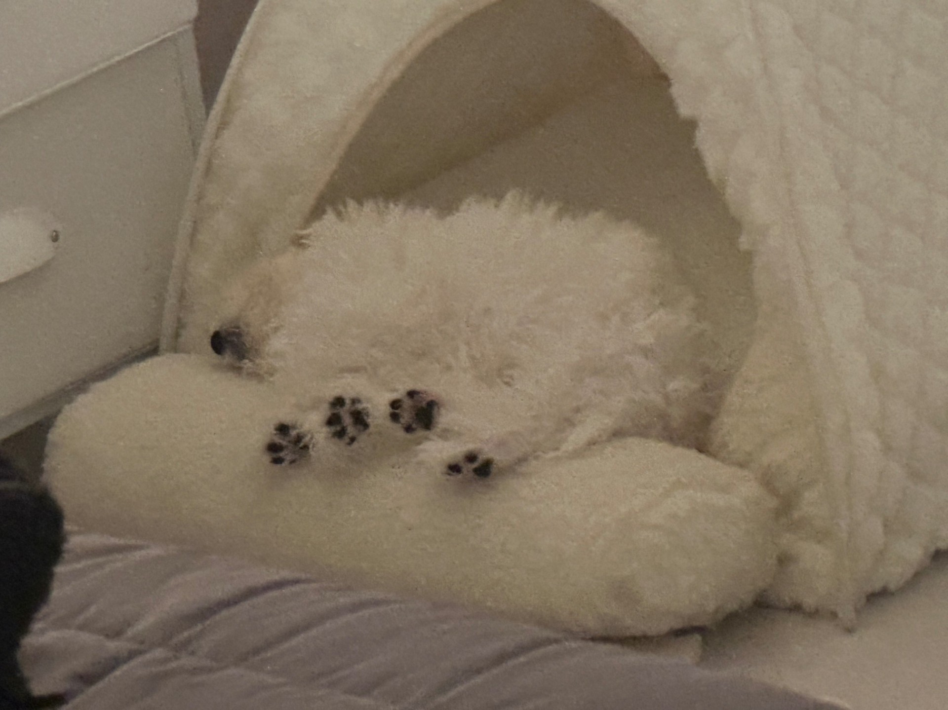 마감 감사합니다