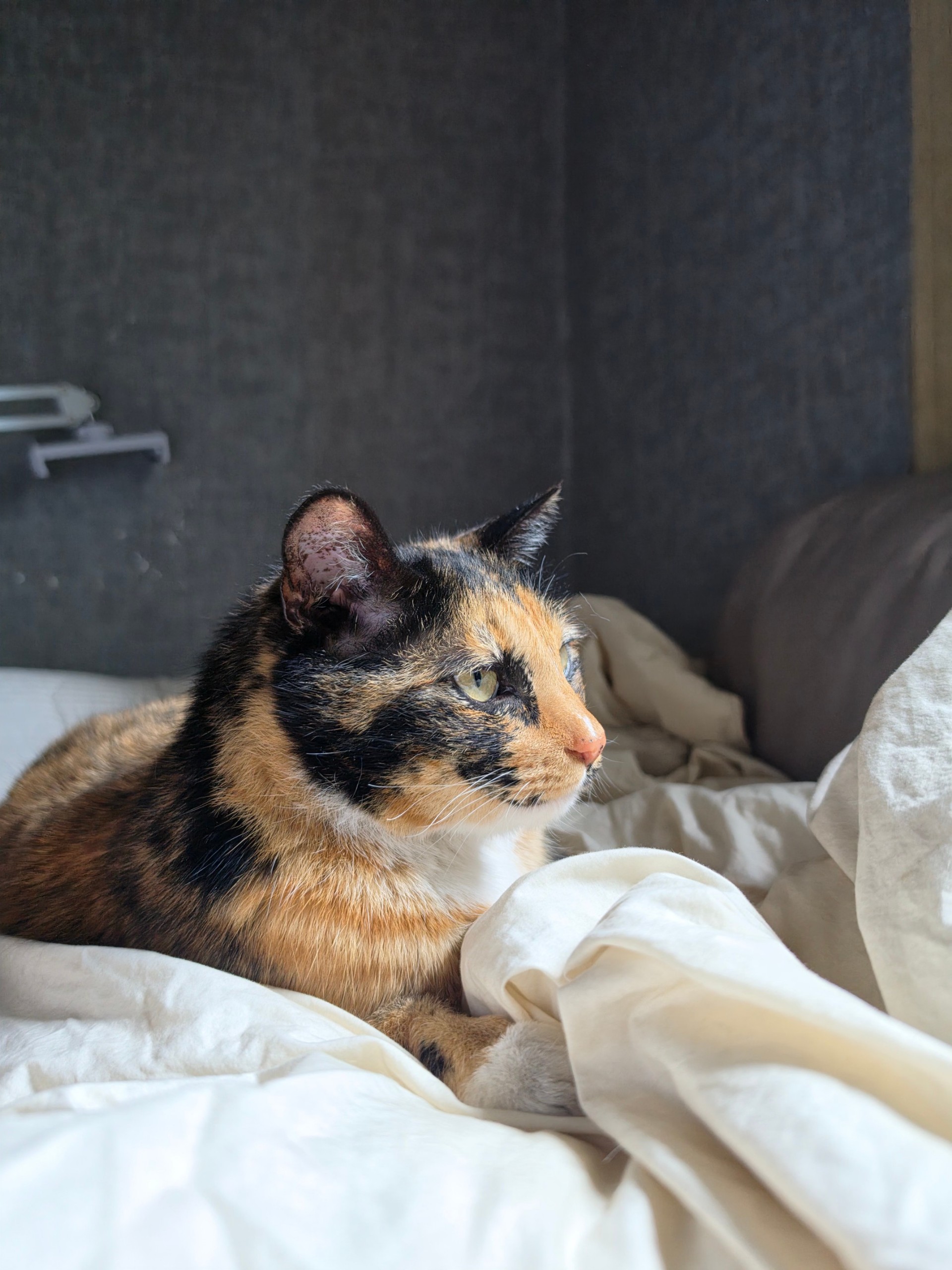 운동중(고민,수다,질문)