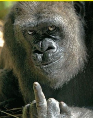 잔잔한 점심💕 아무나오셍