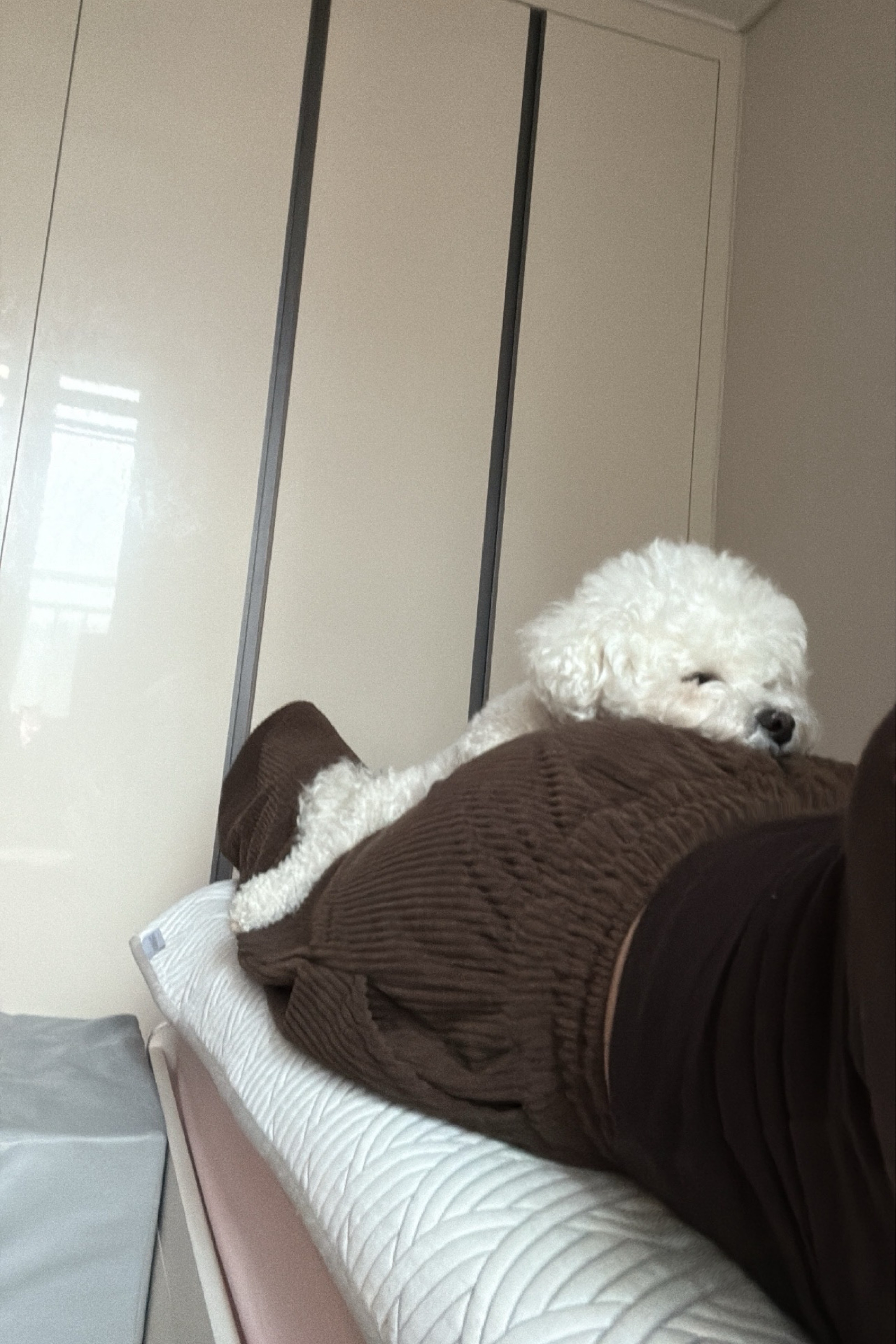 2번 여친구함🥵