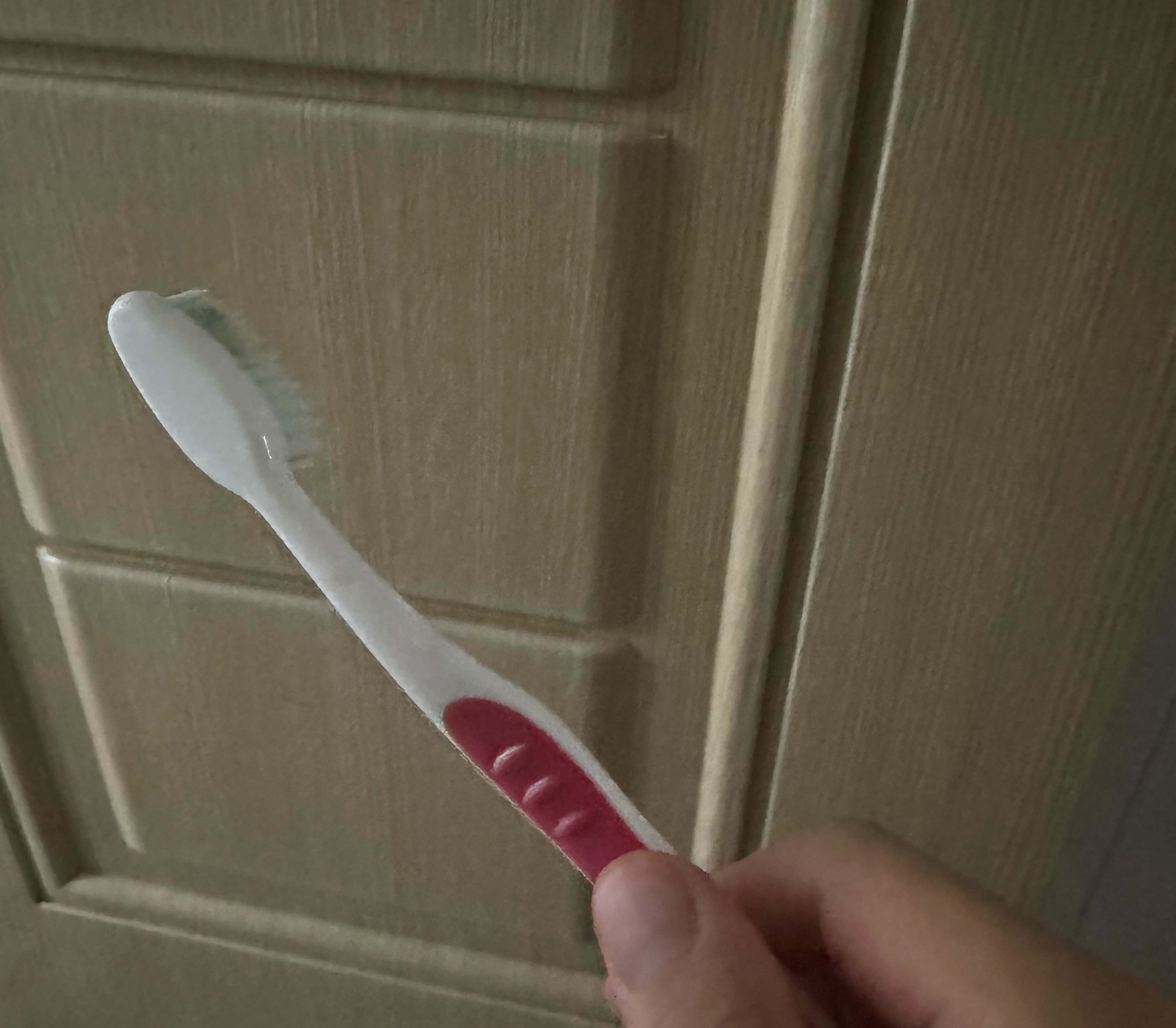 잔잔한 점심💕 아무나오셍