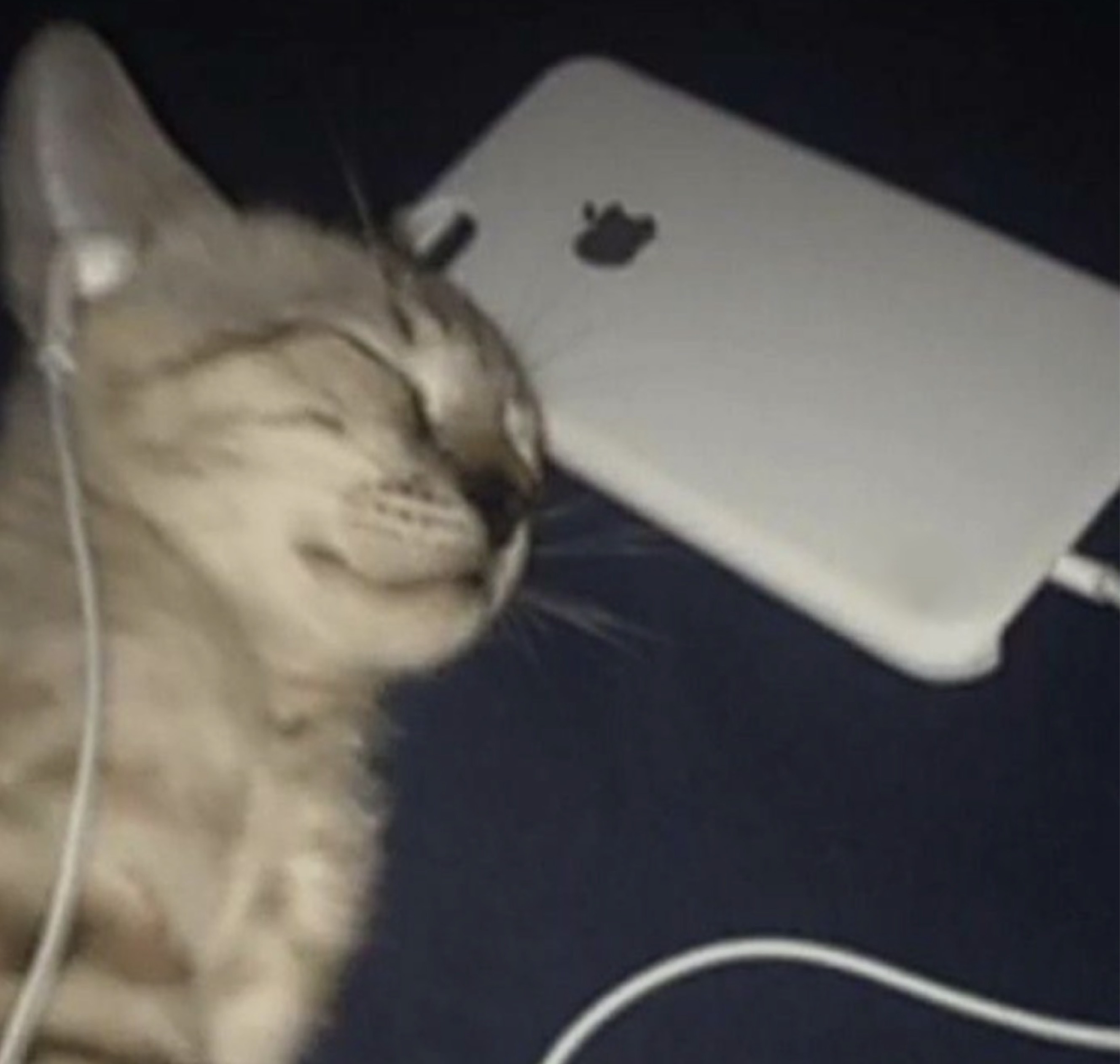 세온아 방송안키냐