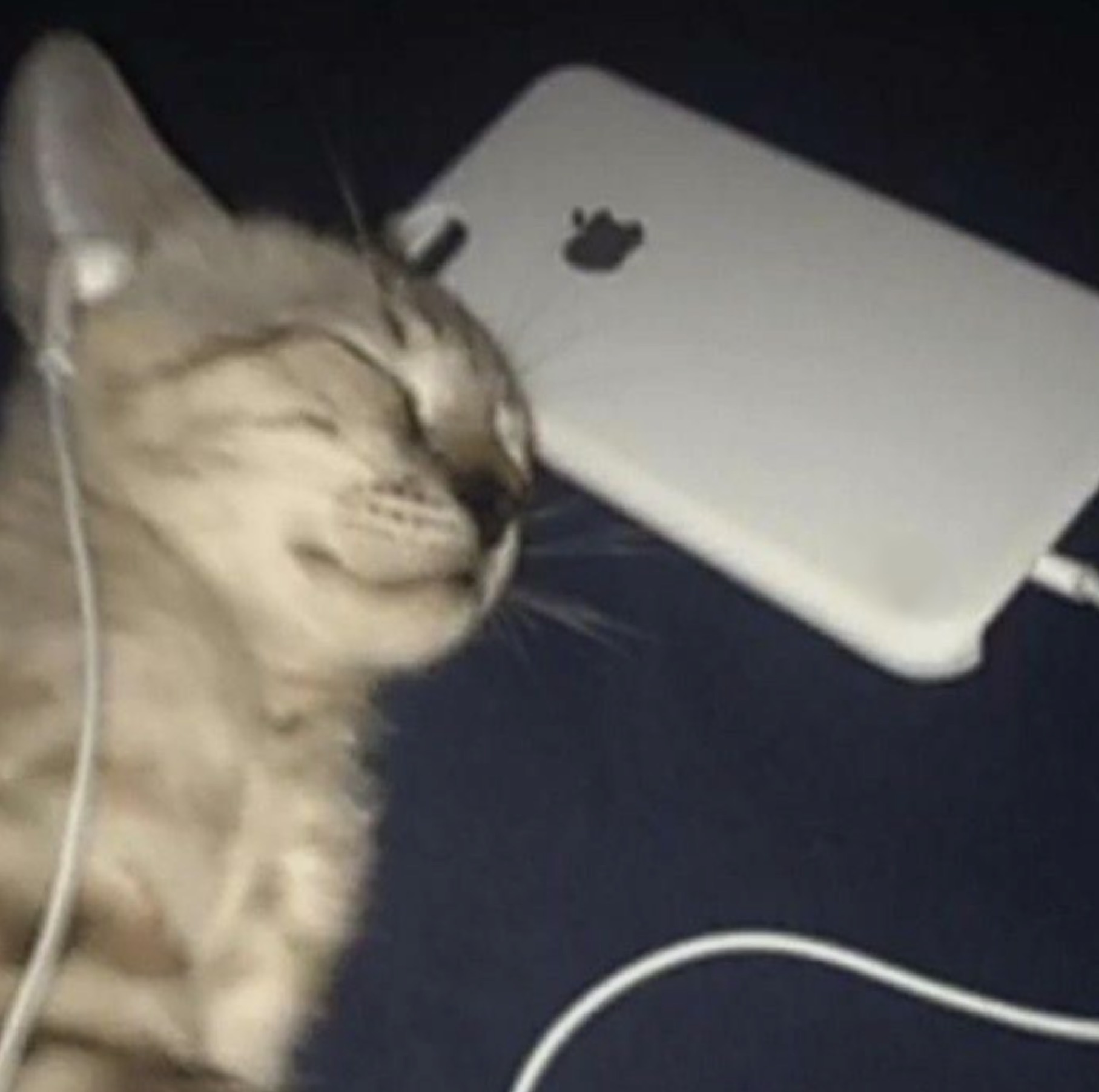 고음질 소통 플리💕