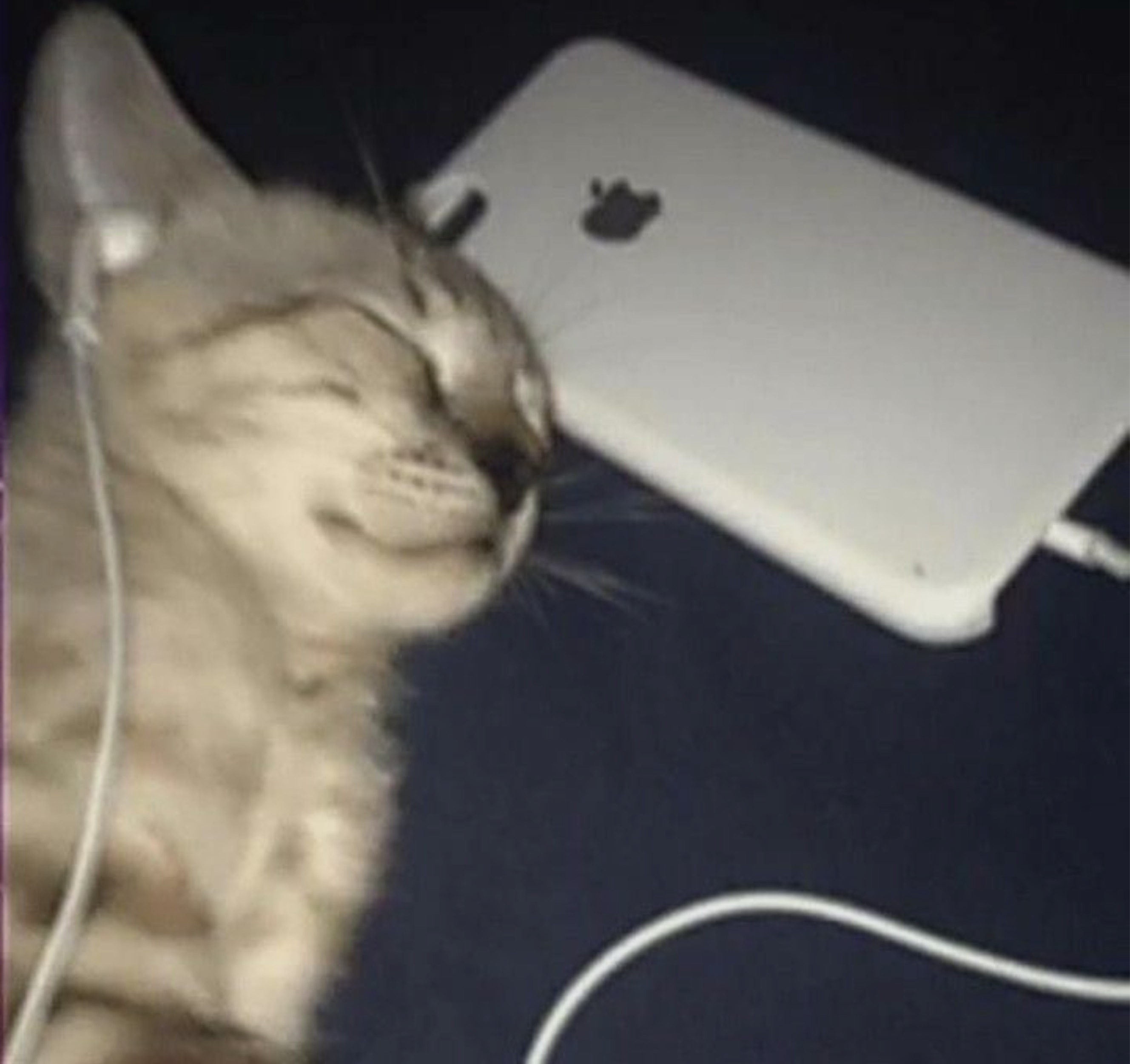 세온아 방송안키냐