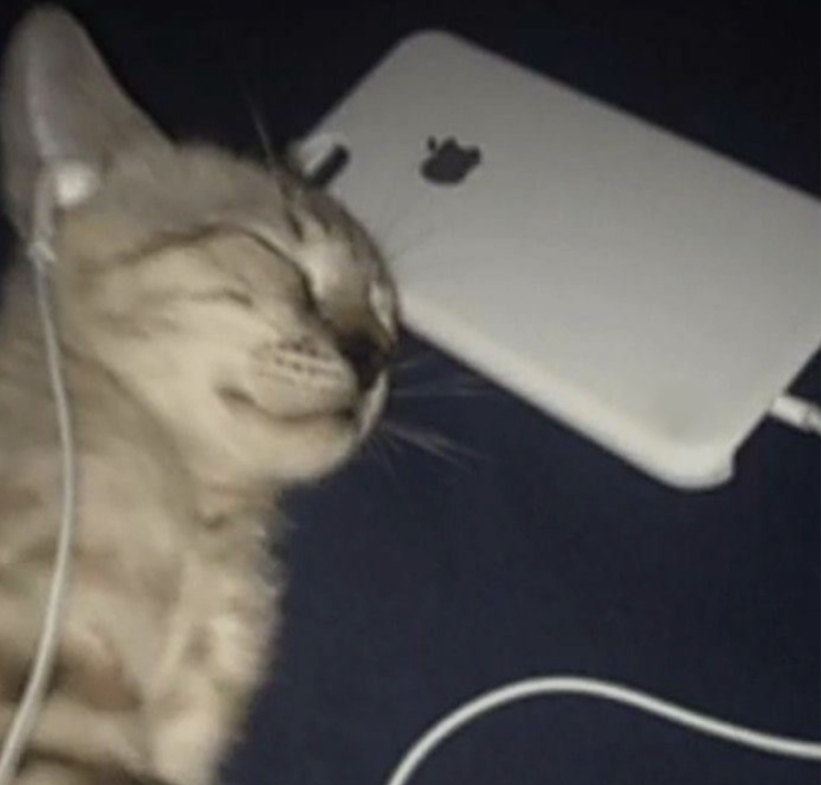 잔잔한 새벽~ 아무나와요