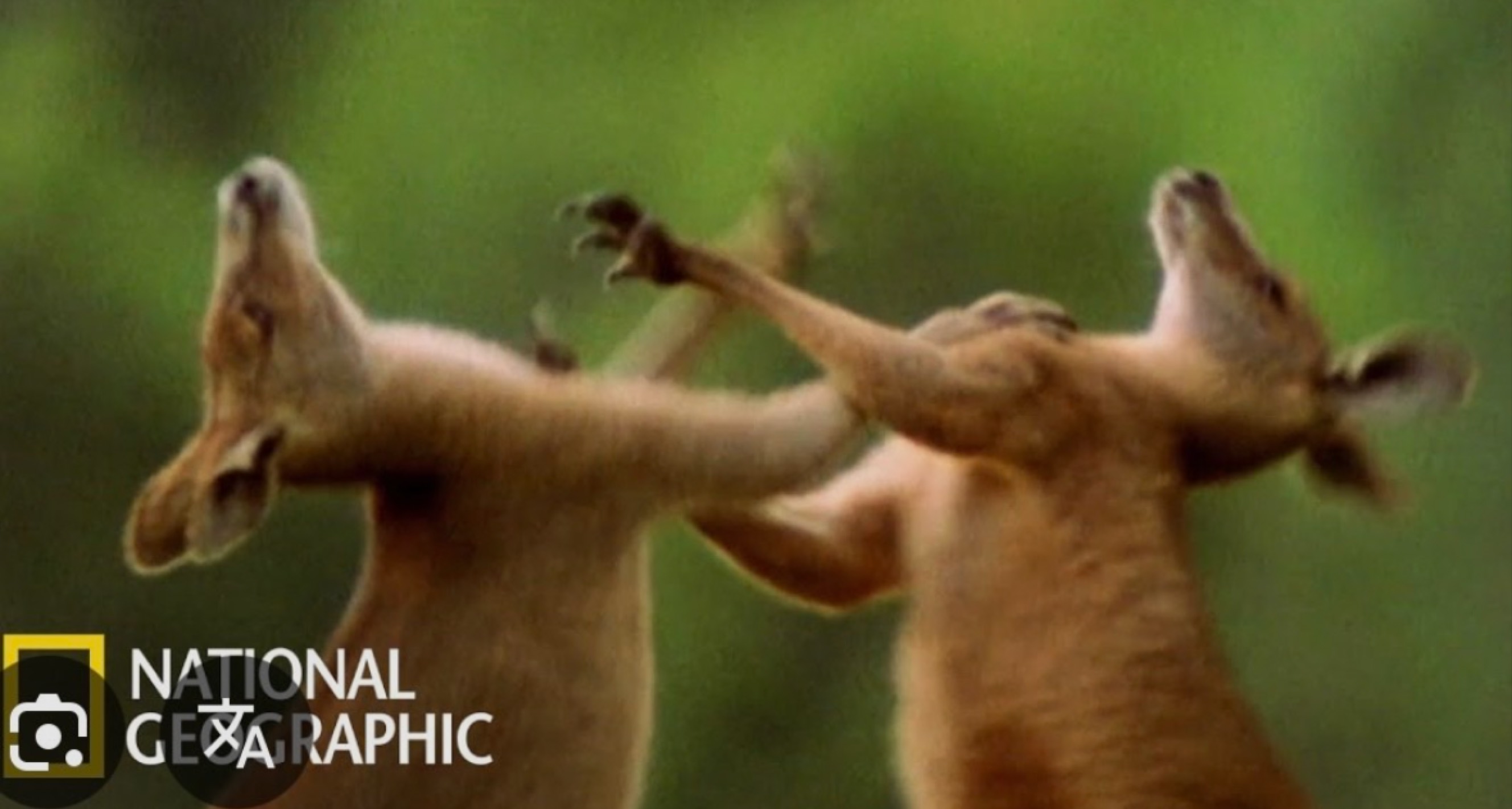 잔잔한 점심💕 아무나오셍