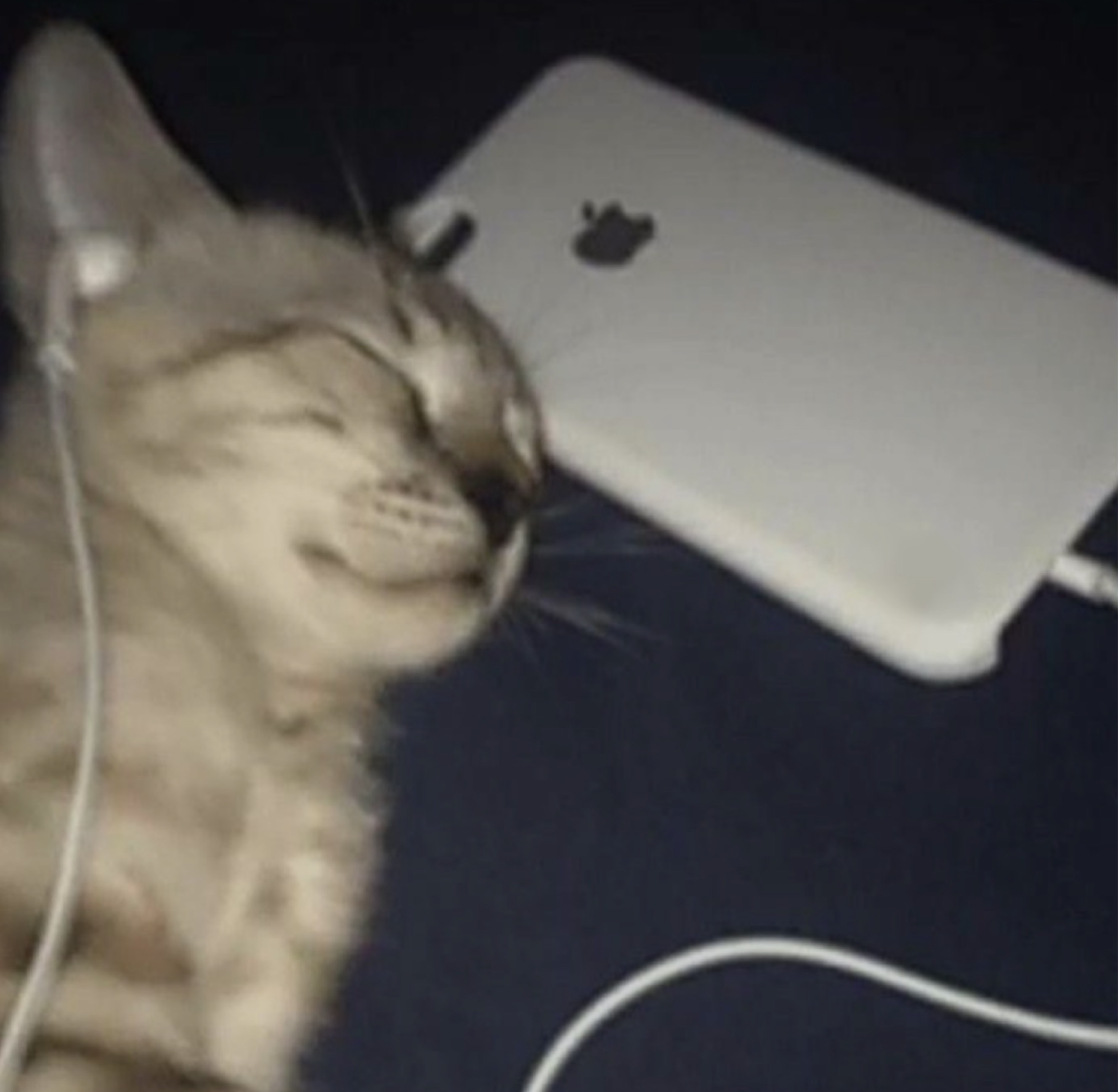 잔잔한 새벽~ 아무나와요