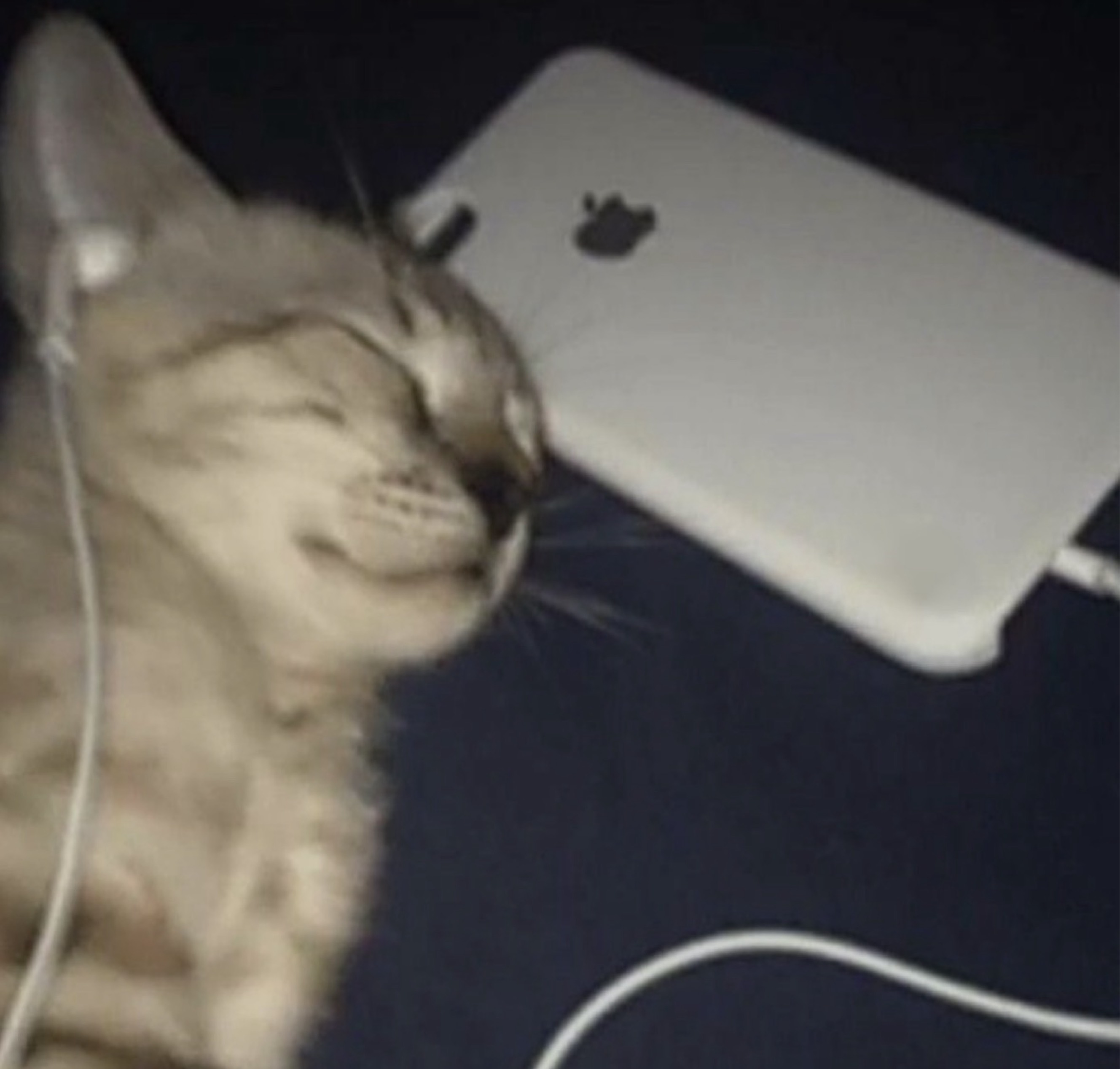 돌아가면서 DJ해보기💕