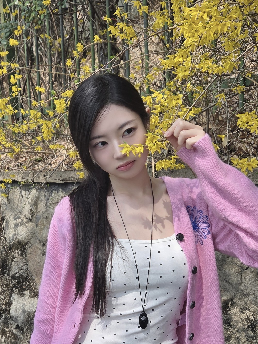 ✨ 신청곡을 입력해주세요.