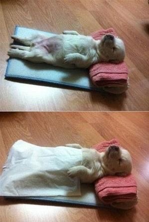 환자가 재워준다