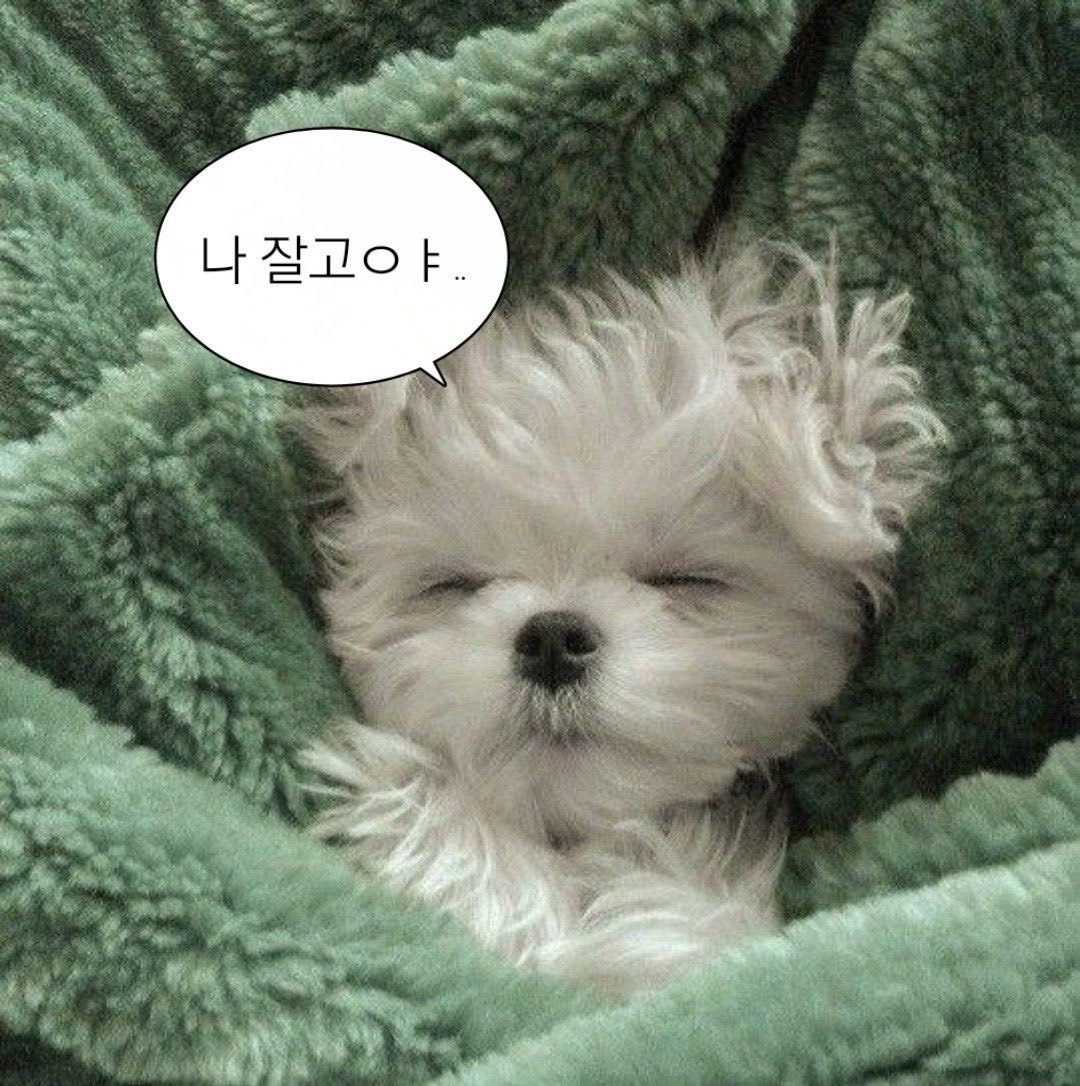 잔잔~ 아무나와요💕