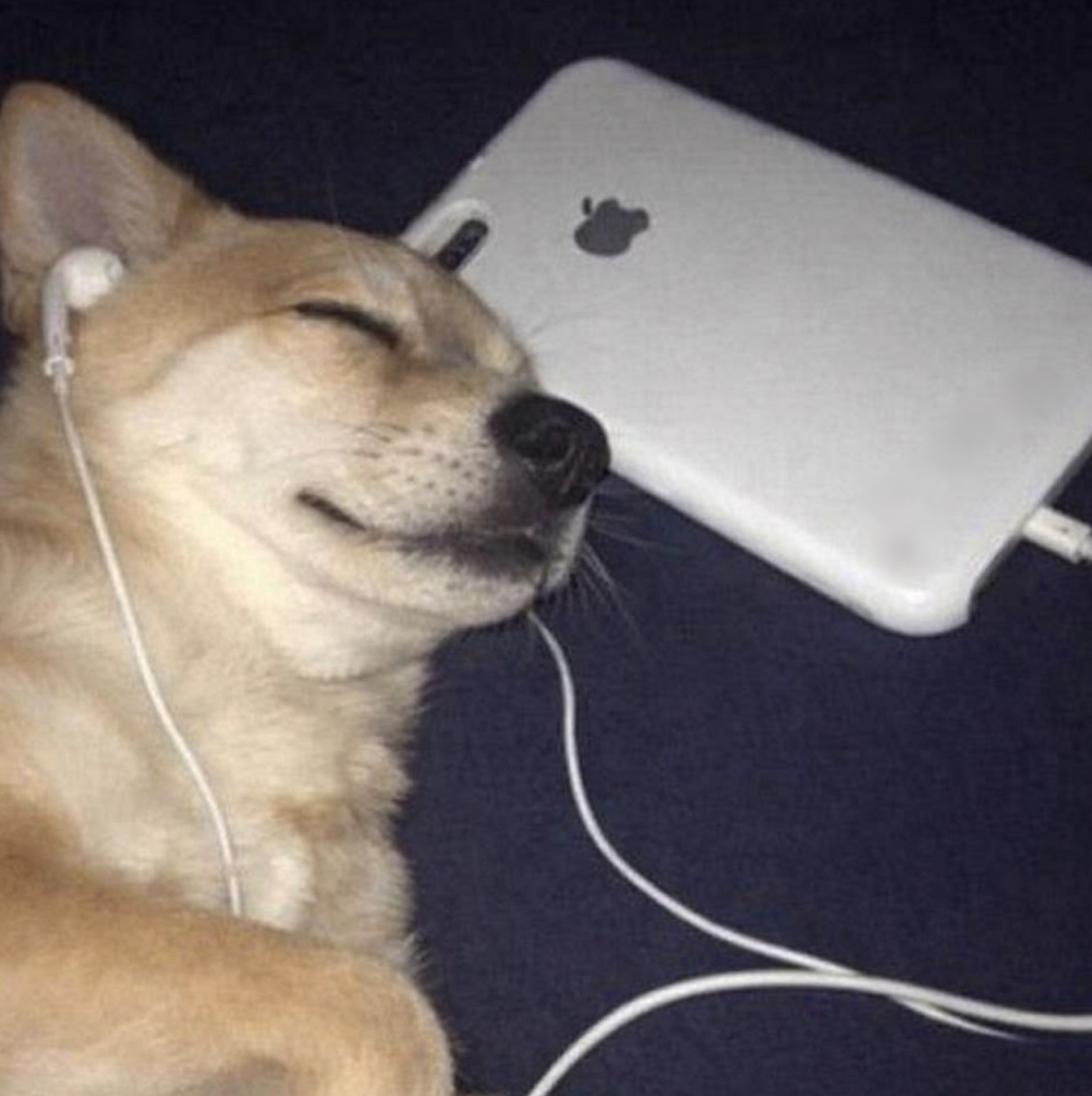 4월 고생했어🙇‍♂️ 고마워