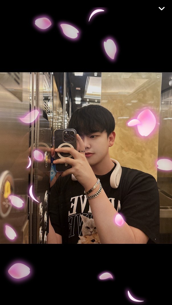 안오면 대머리 + 비밀 고민 상담소