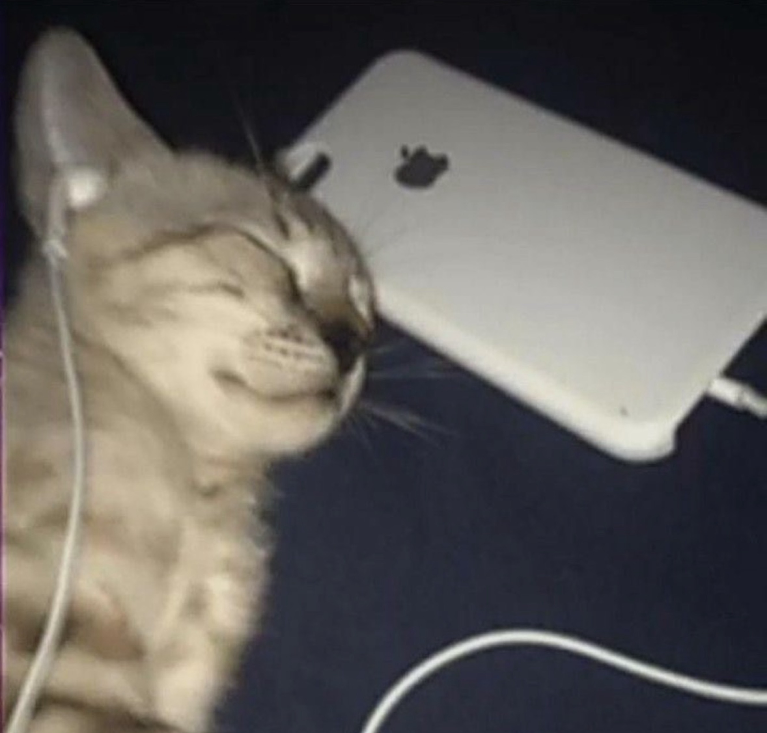 4월 고생했어🙇‍♂️ 고마워