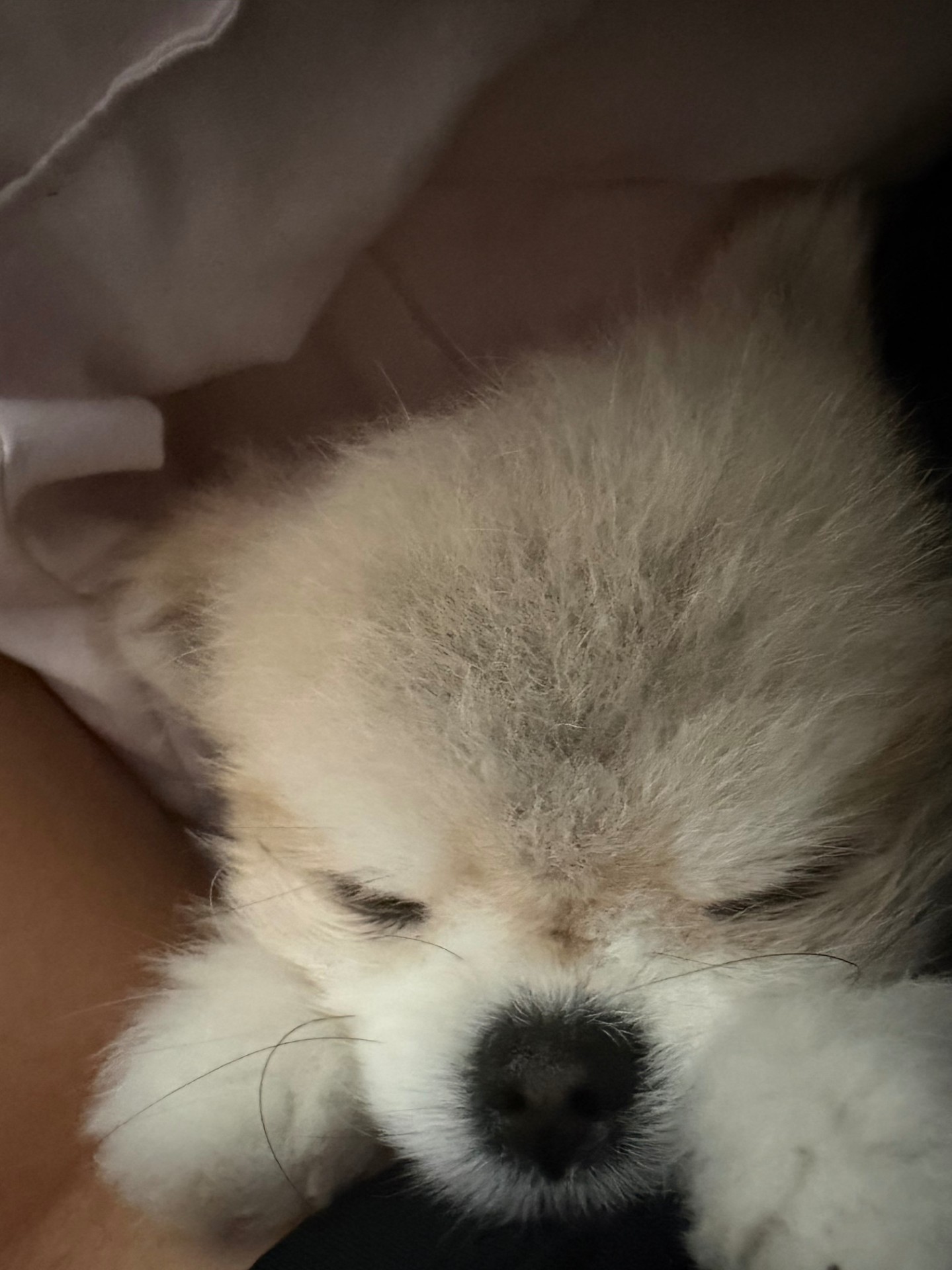 # 터팬아 뺑이 쳐라 난 방종푼- 잉