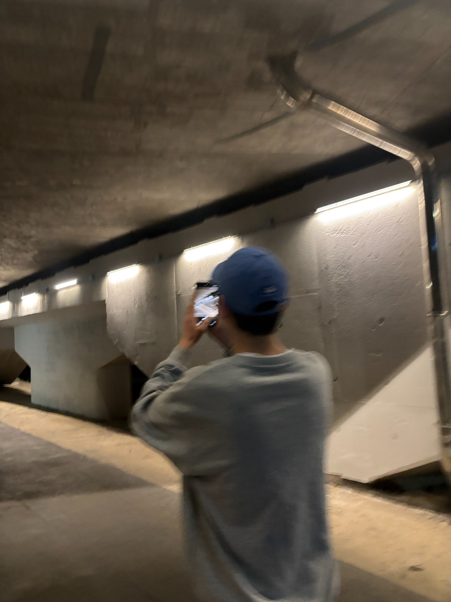 게이지 노방종 중