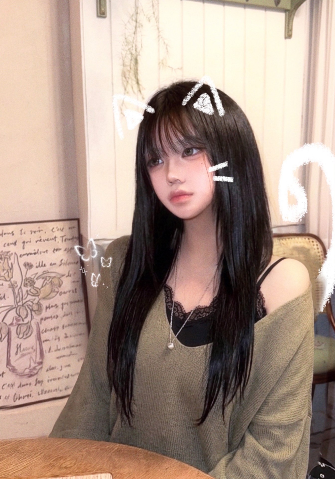 빌려온 고양이