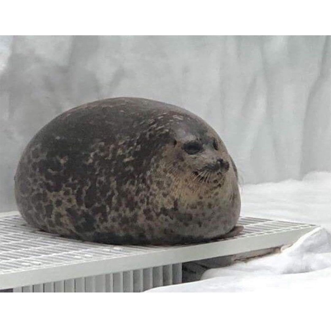 아침 난민생성소