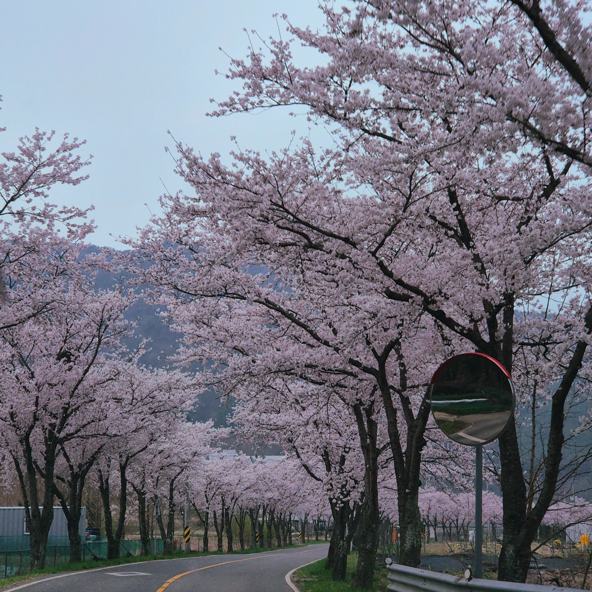 그냥그냥