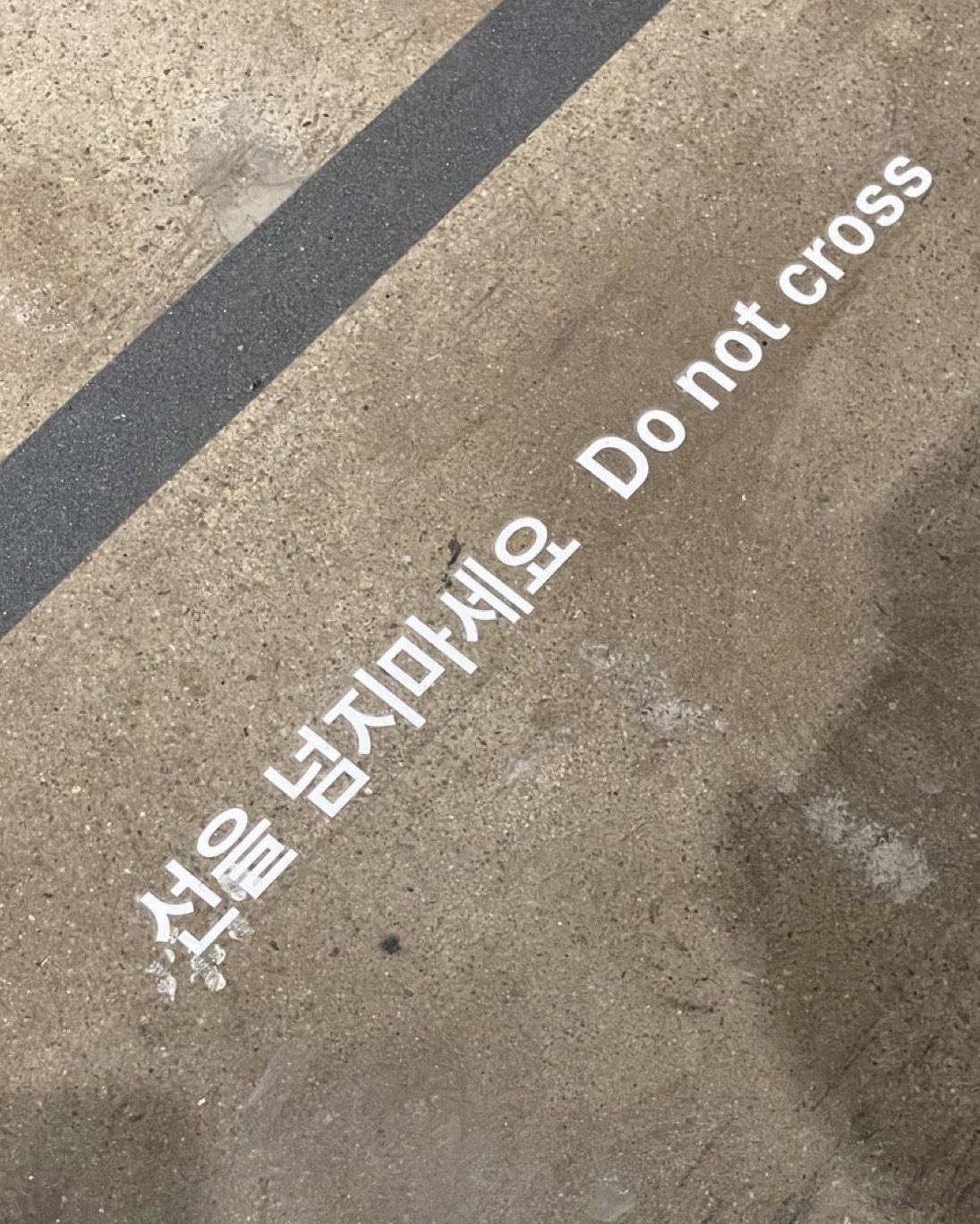 퇴근핑