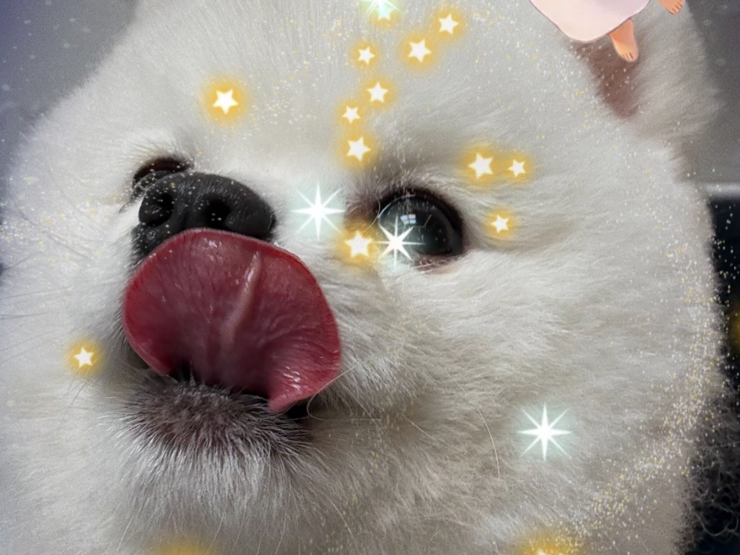 감사합니다