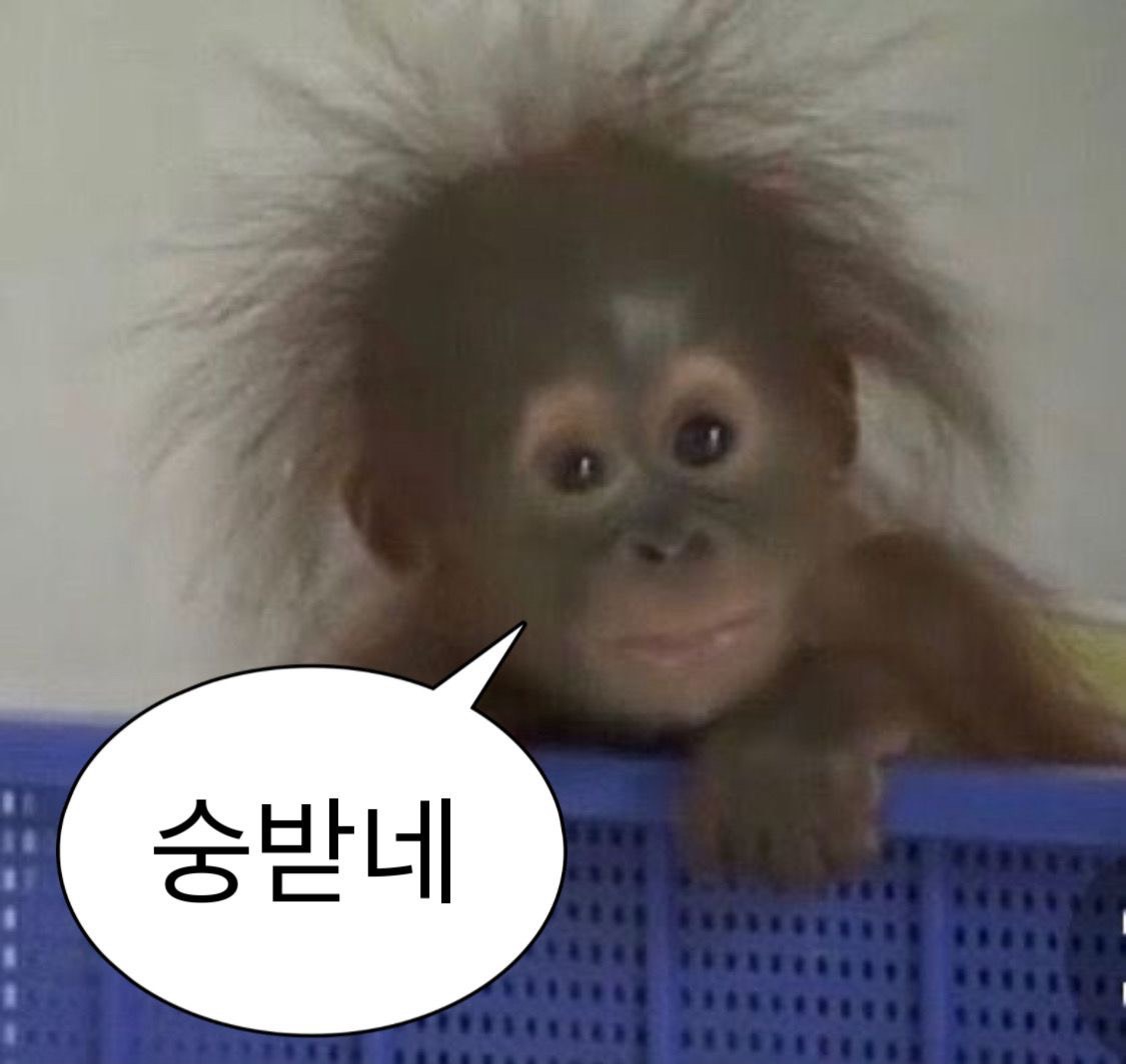 갈방없네 탐방환영🙇‍♂️