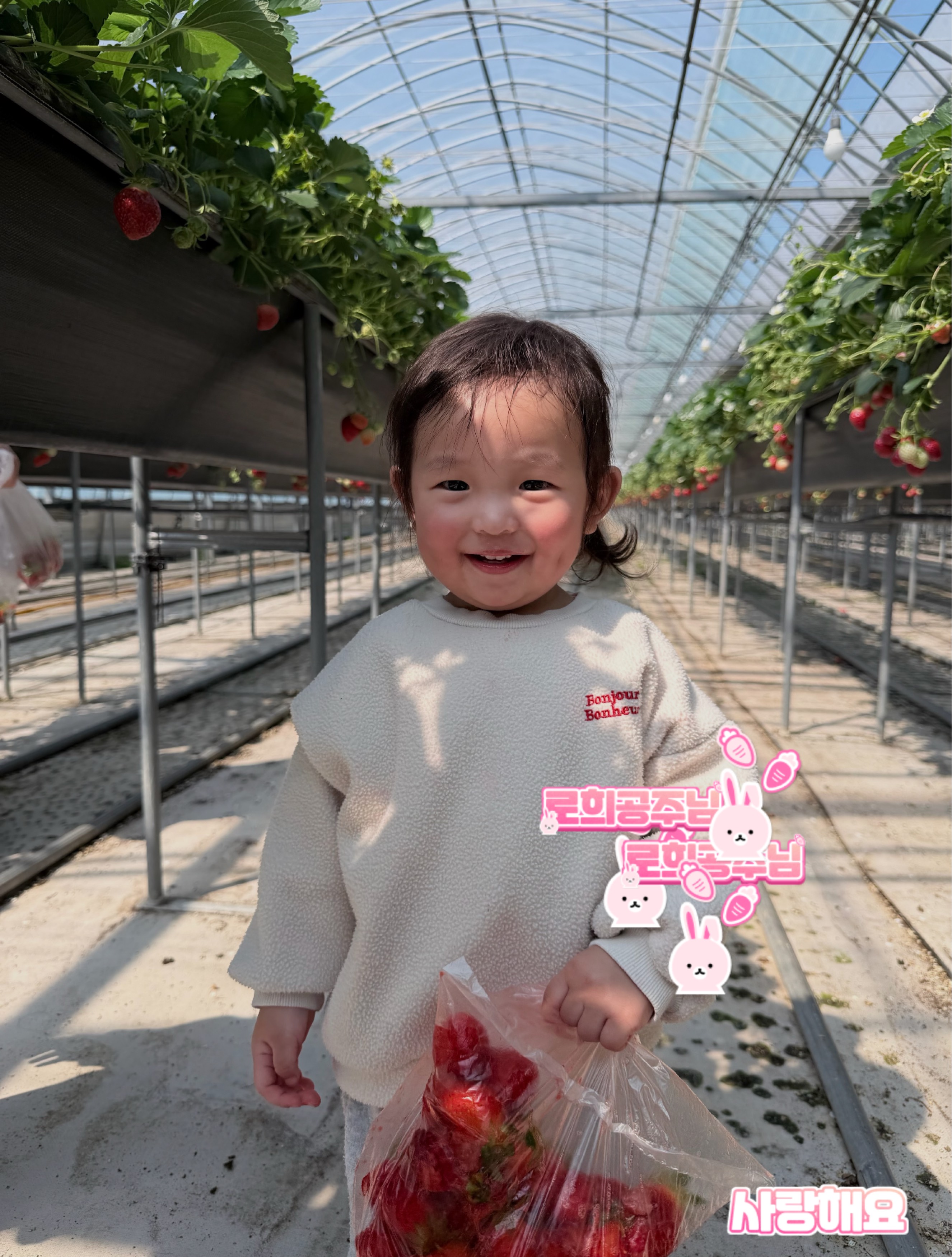 (안오면뒤짐)