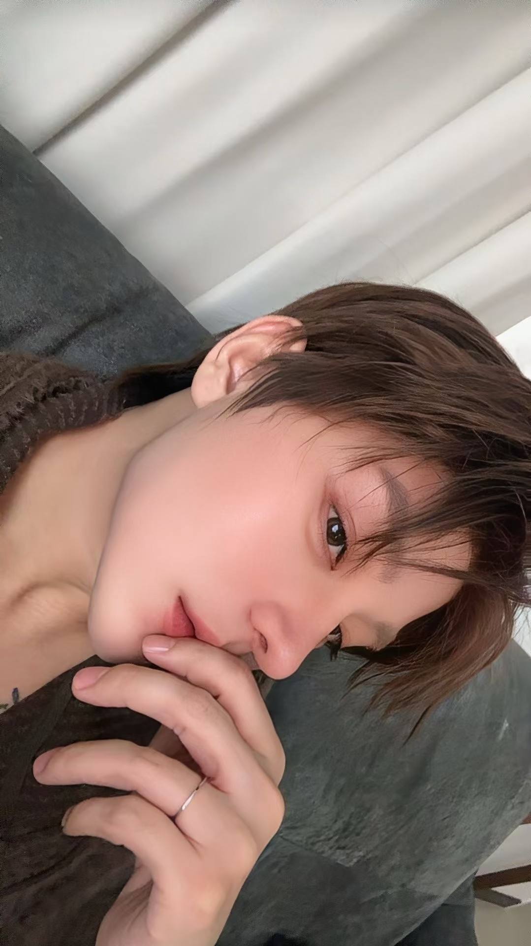 돌발라콜🚨