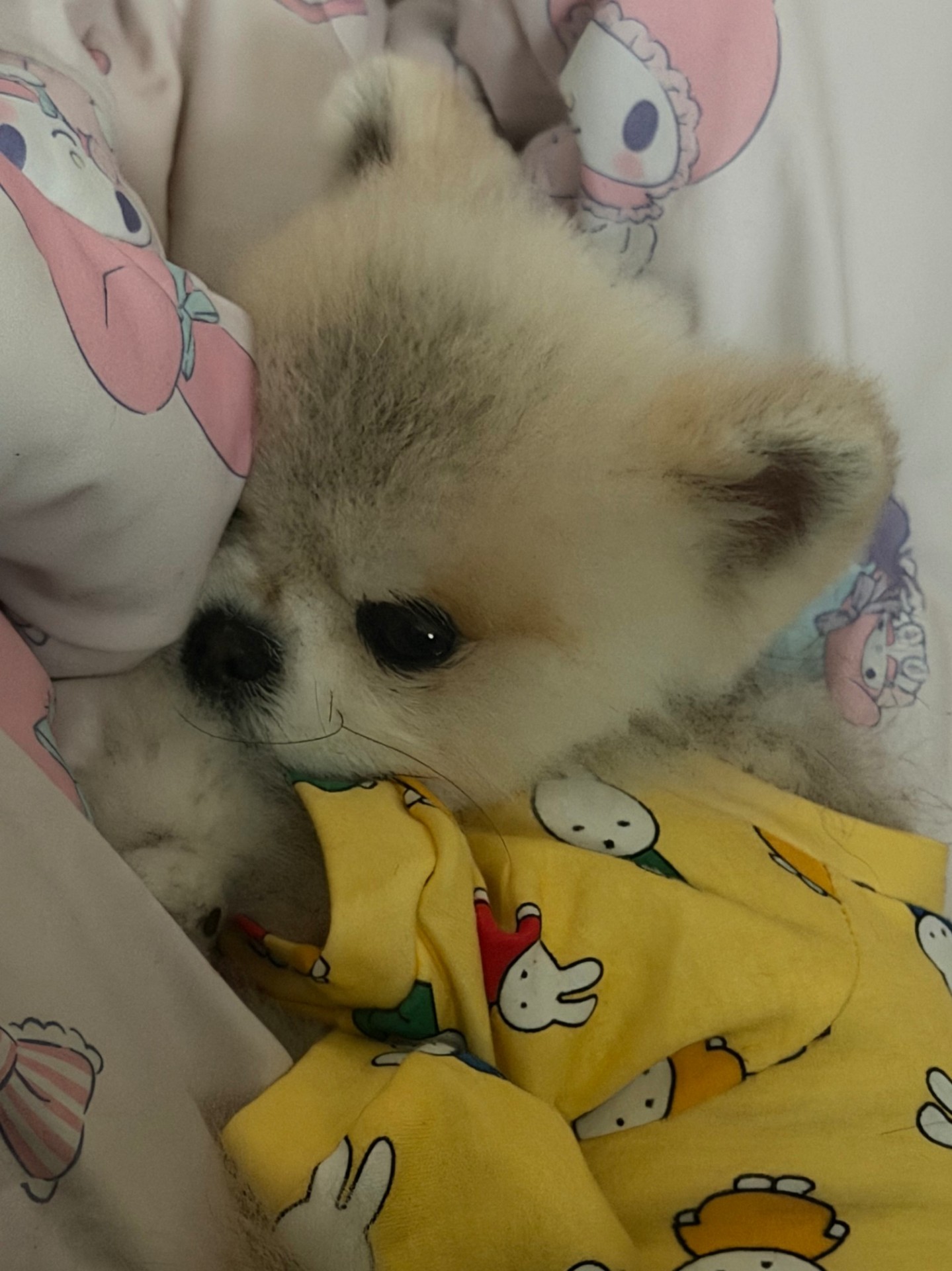 # 막암