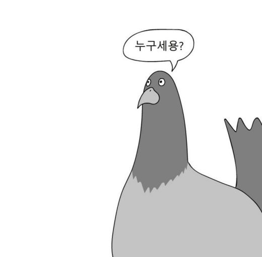 방송 안해