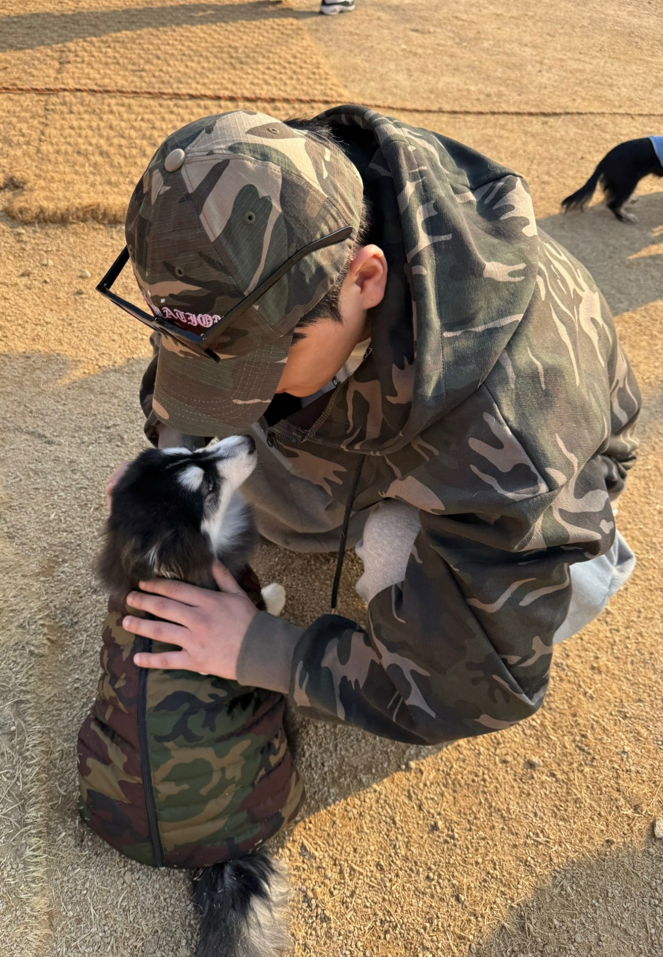 # 마감 담좌 3시 맹호 ㄱㄱ