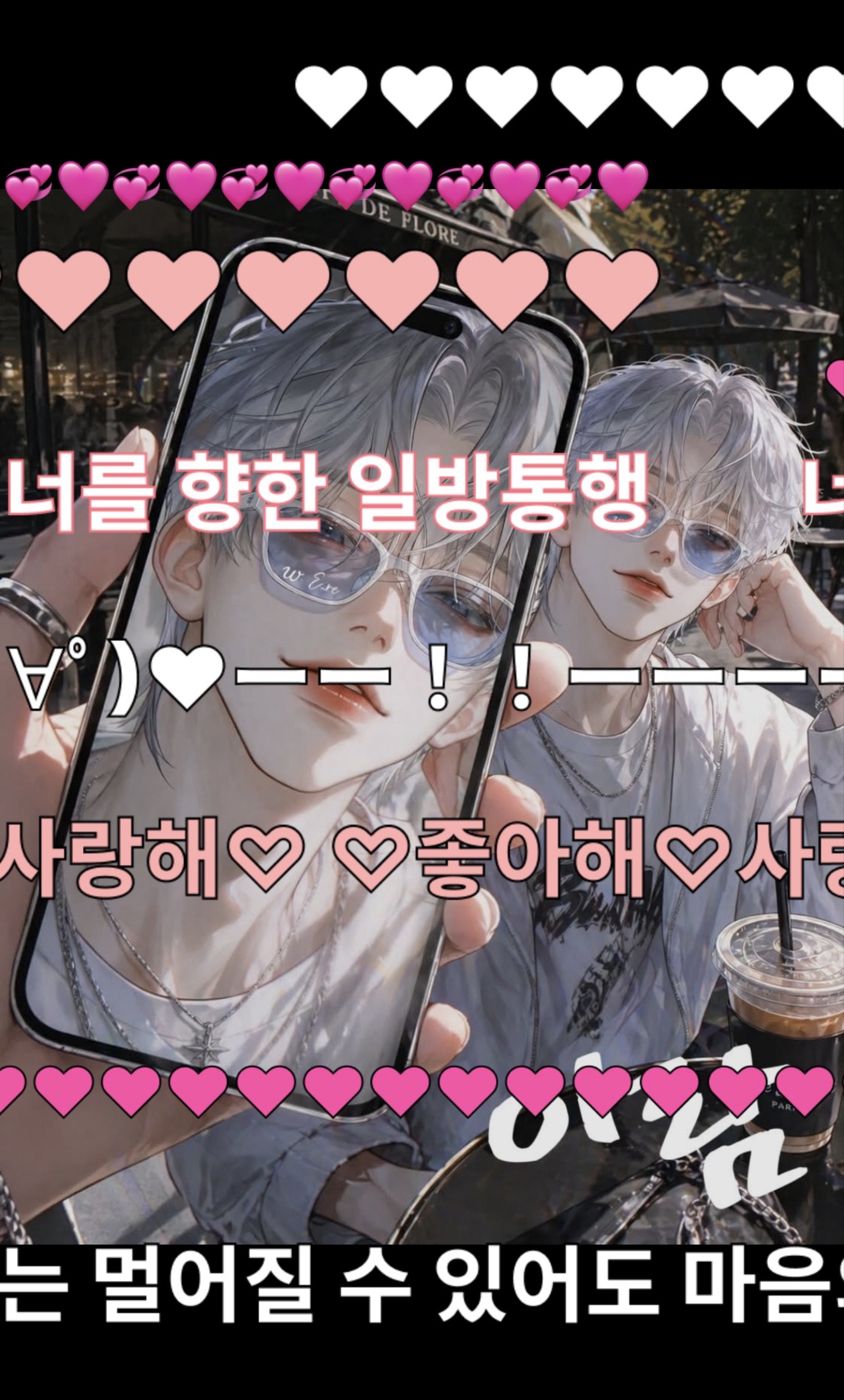 # 댕댕이등장
