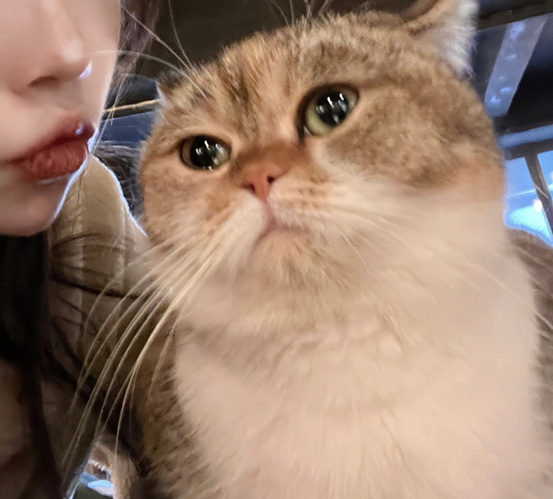 ㅇㅇㅇ