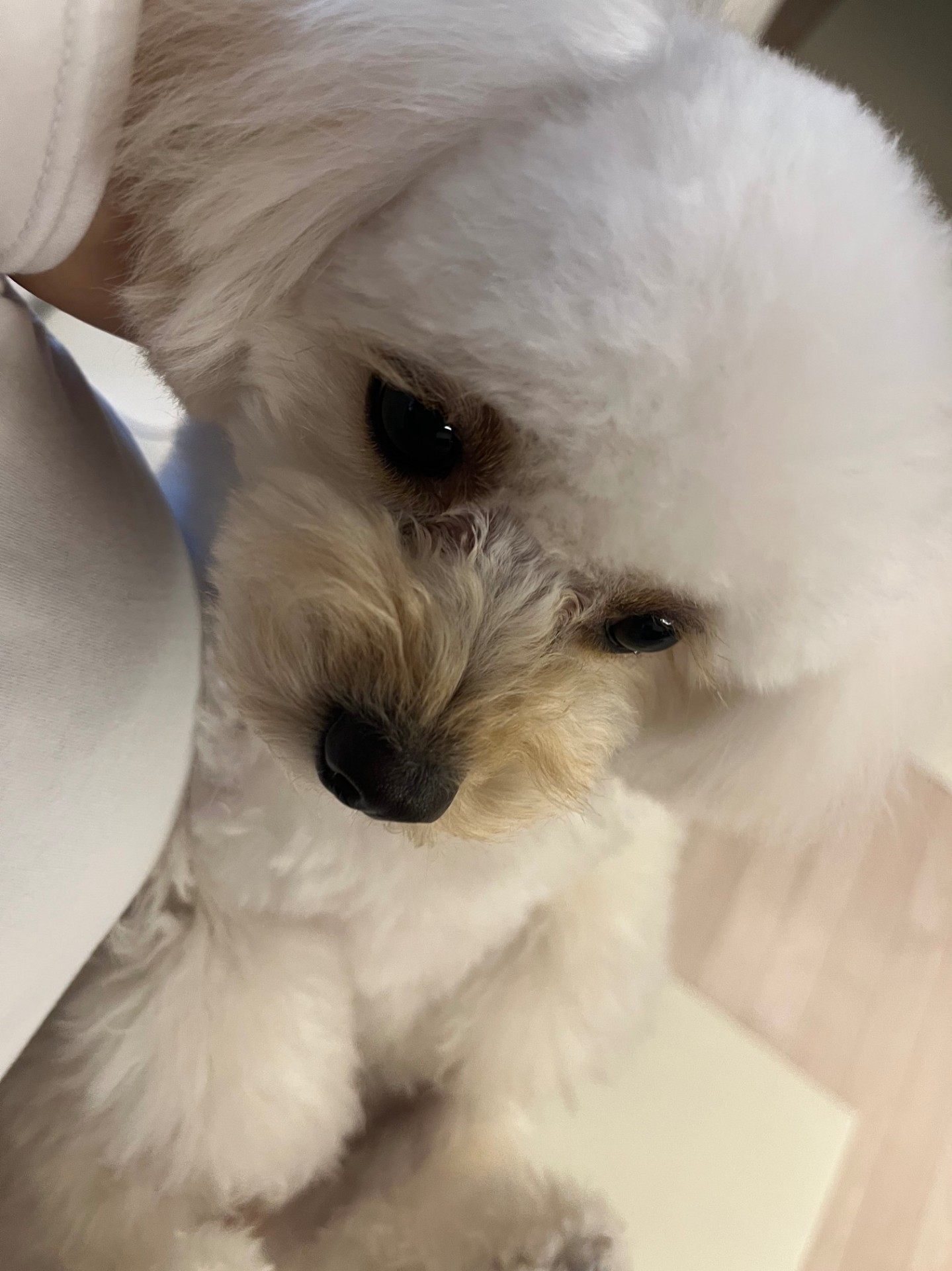 화이팅 !!!!!!!!!