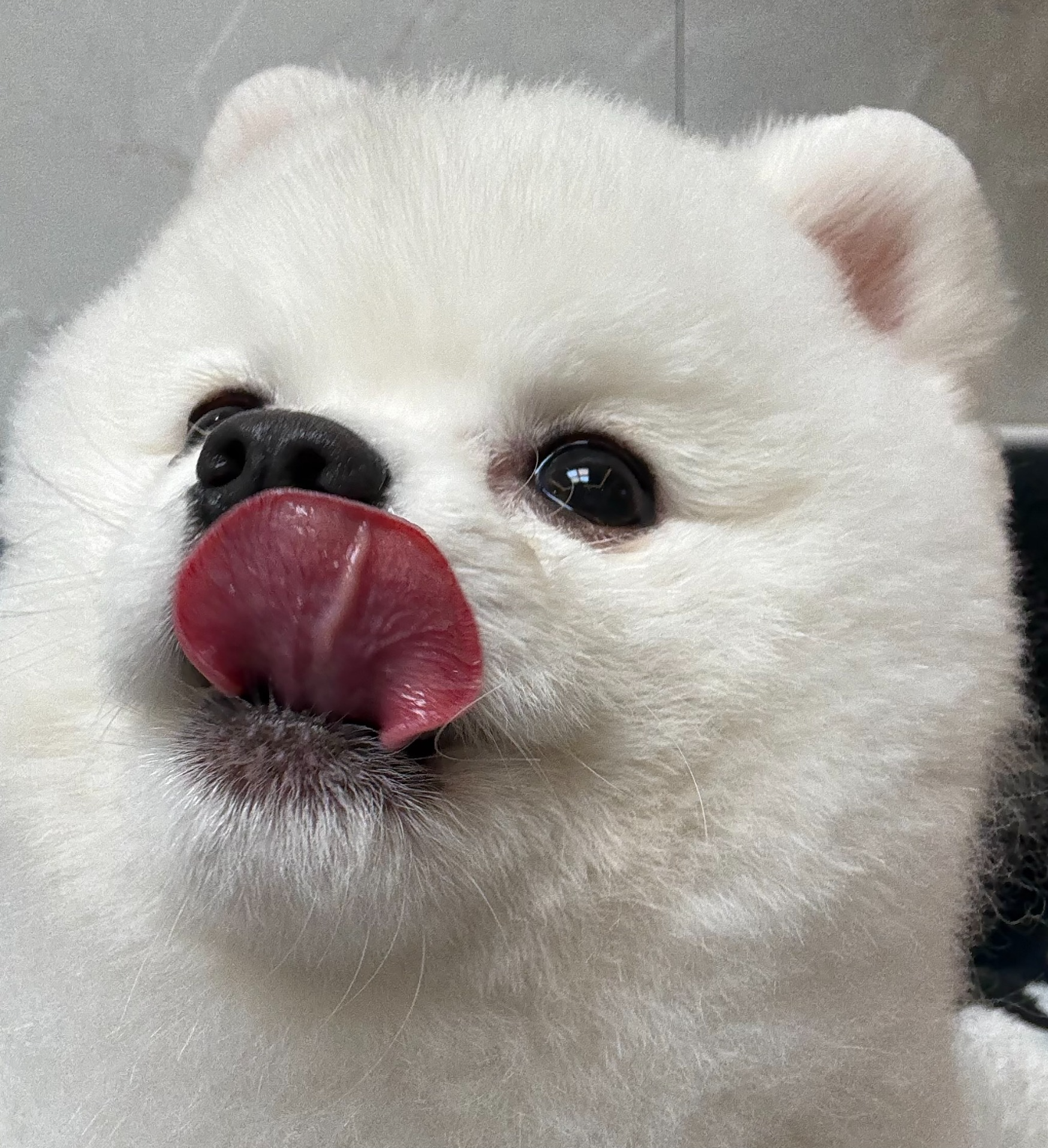 오늘 해가 좋구만