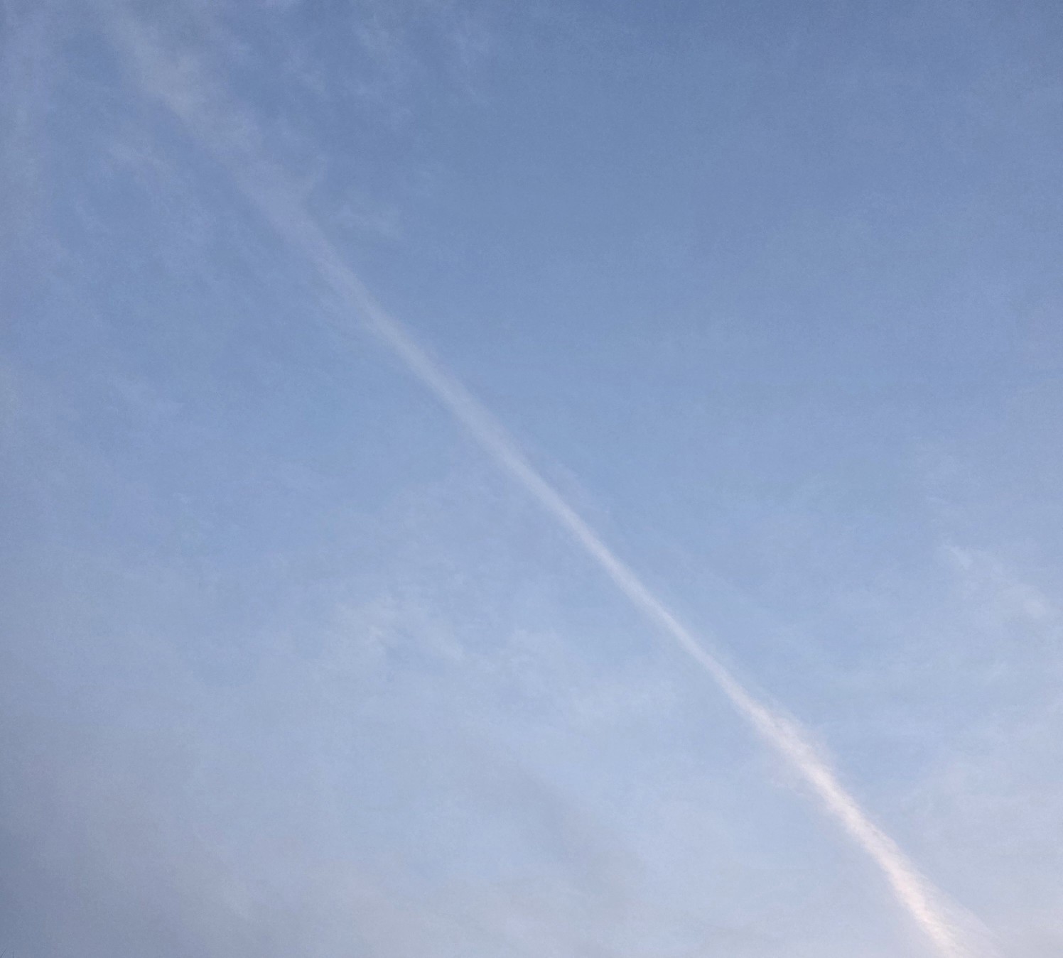 수다수다
