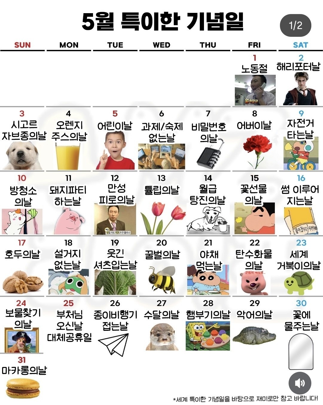 뮤로리가 왔댜요🎵🥳
