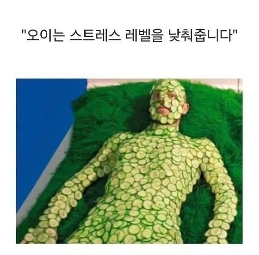 평범한토크