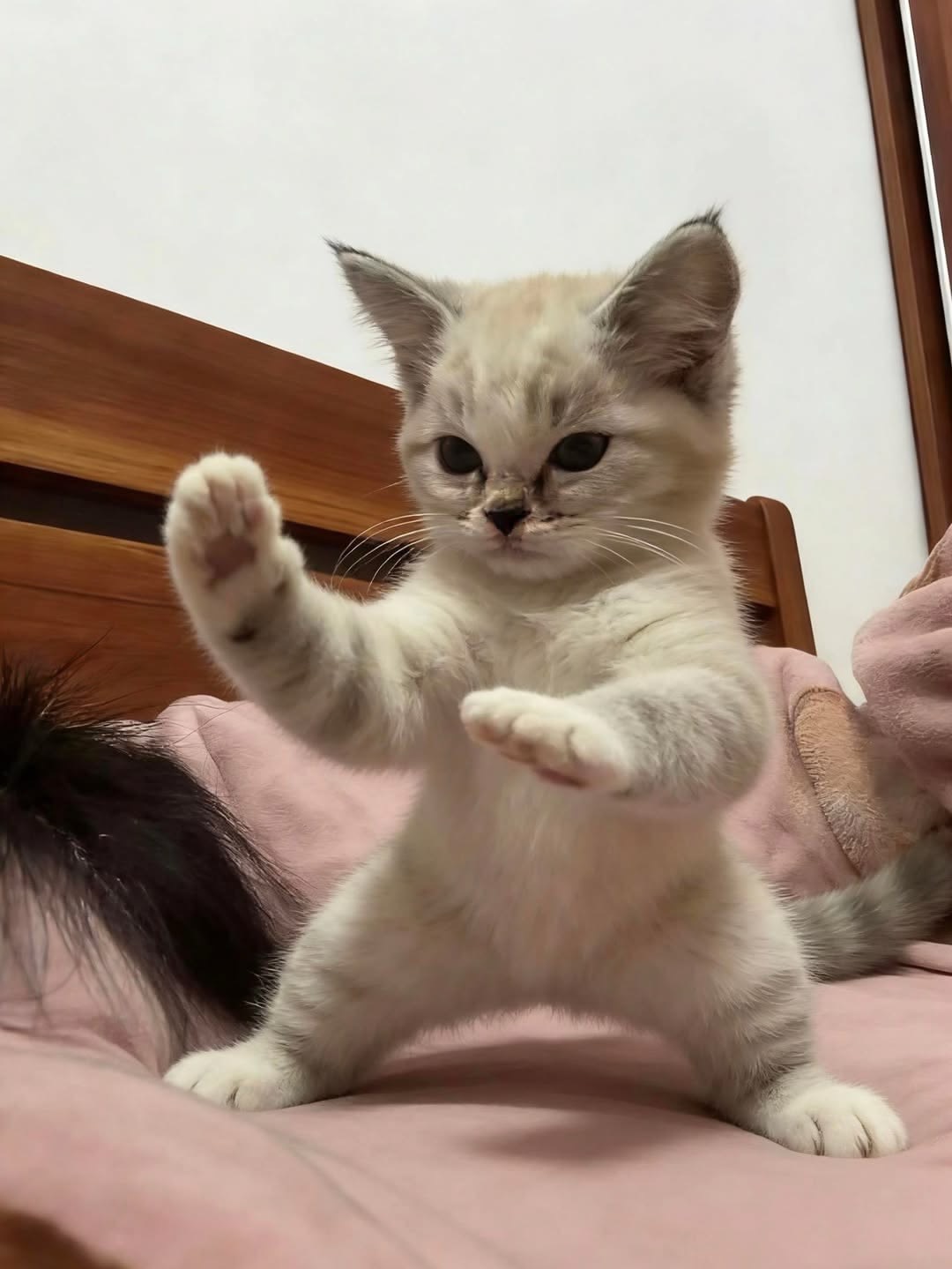 잔잔토크 탐방환영💕