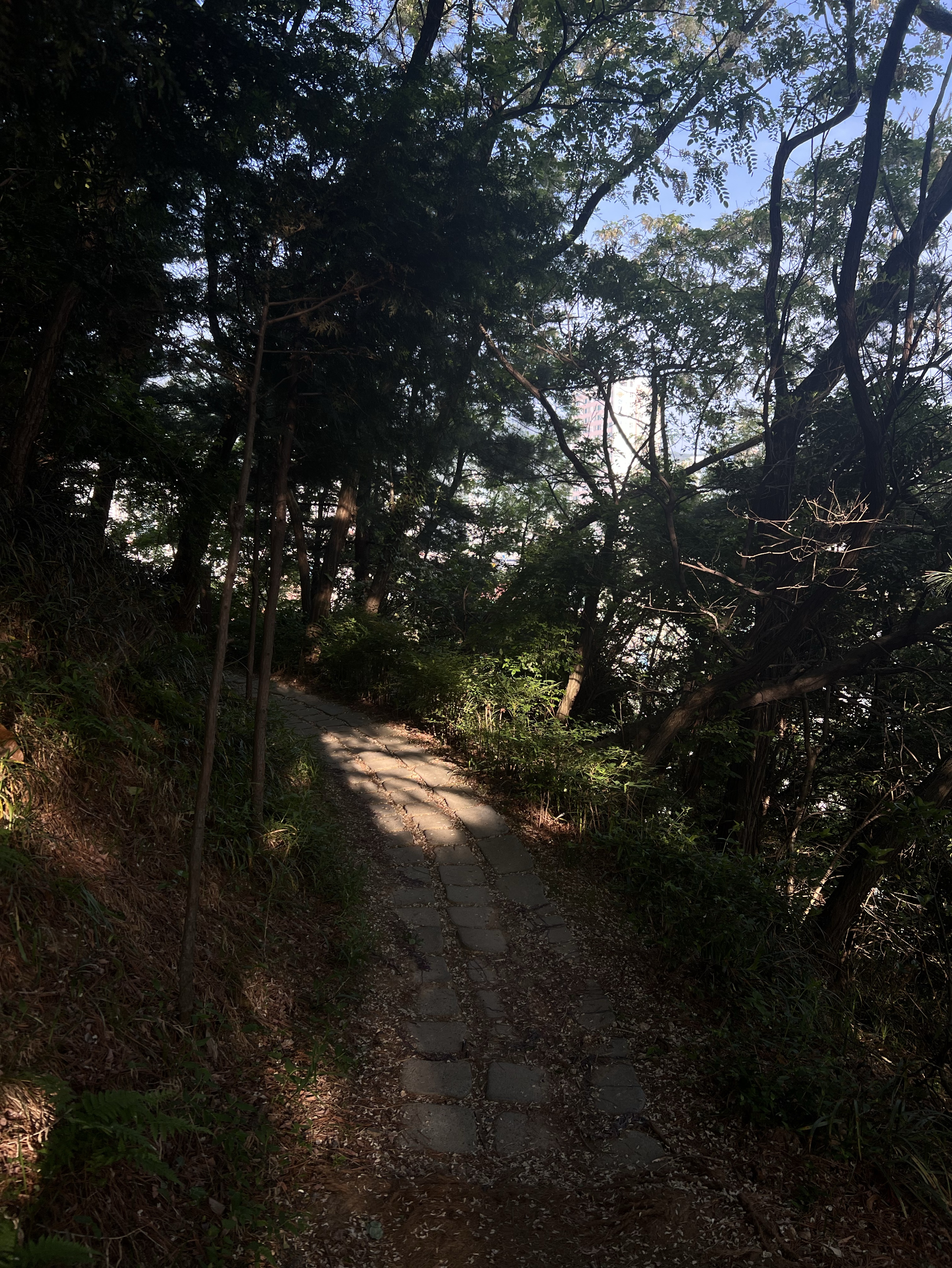 산책방송(인가?)