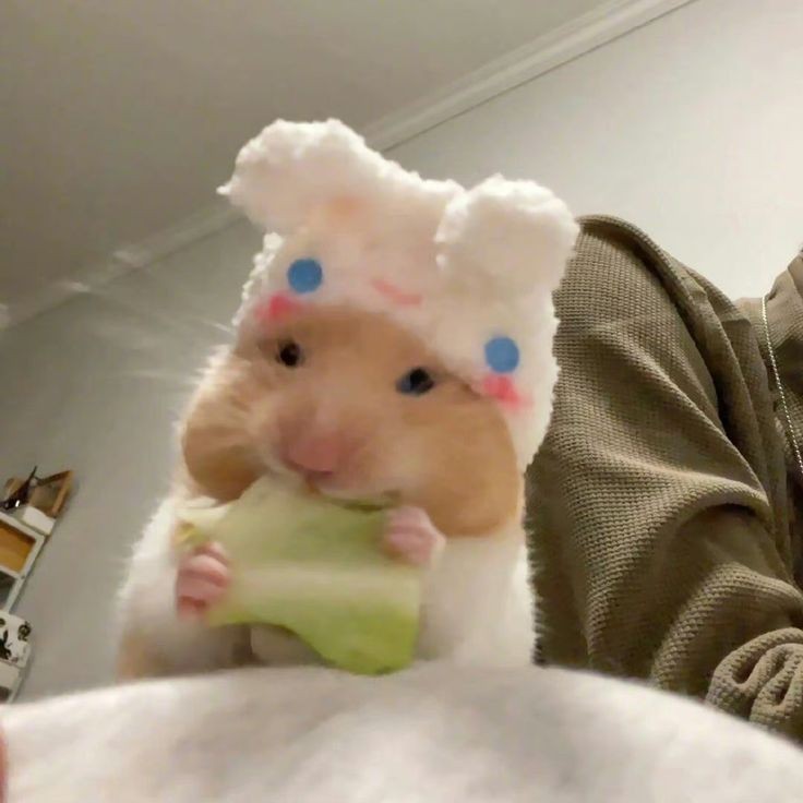 뒷풀이방