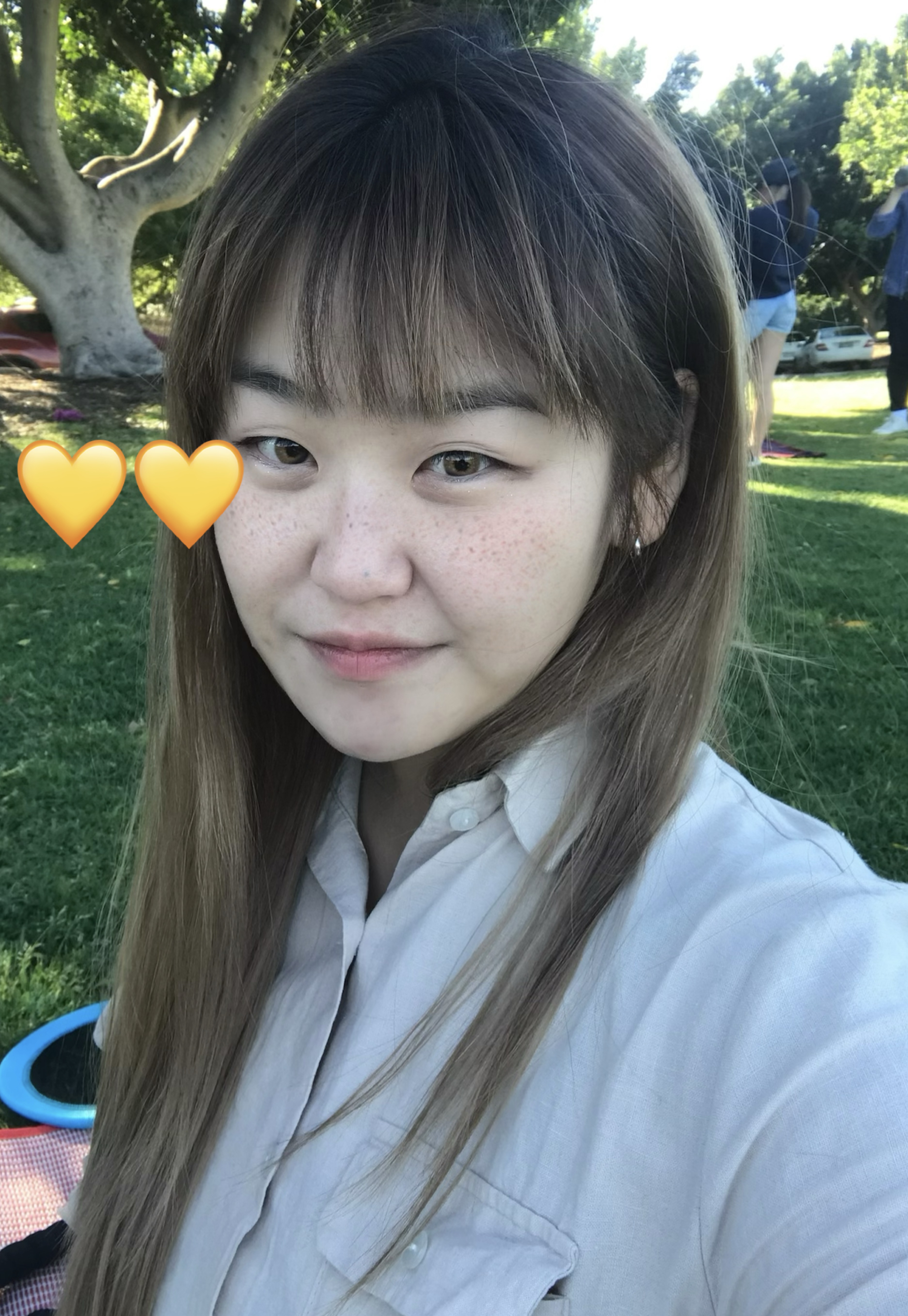 혼코노 도전기