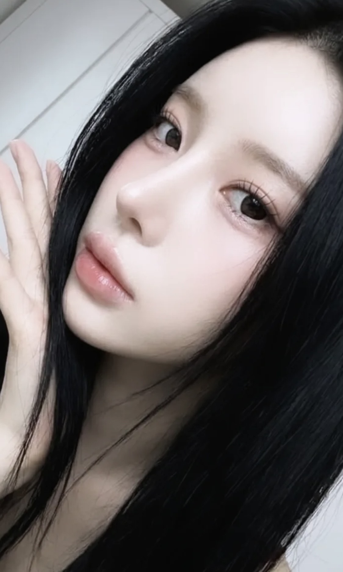 라콜라콜