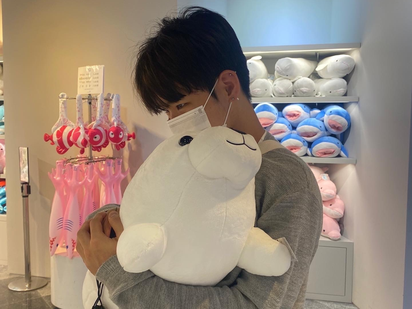 안재울래