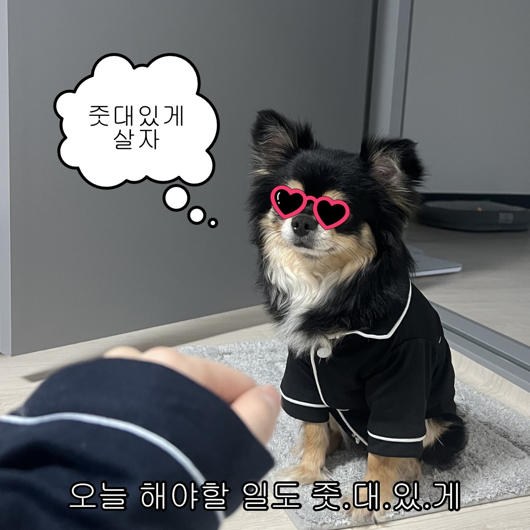 머요 왜요