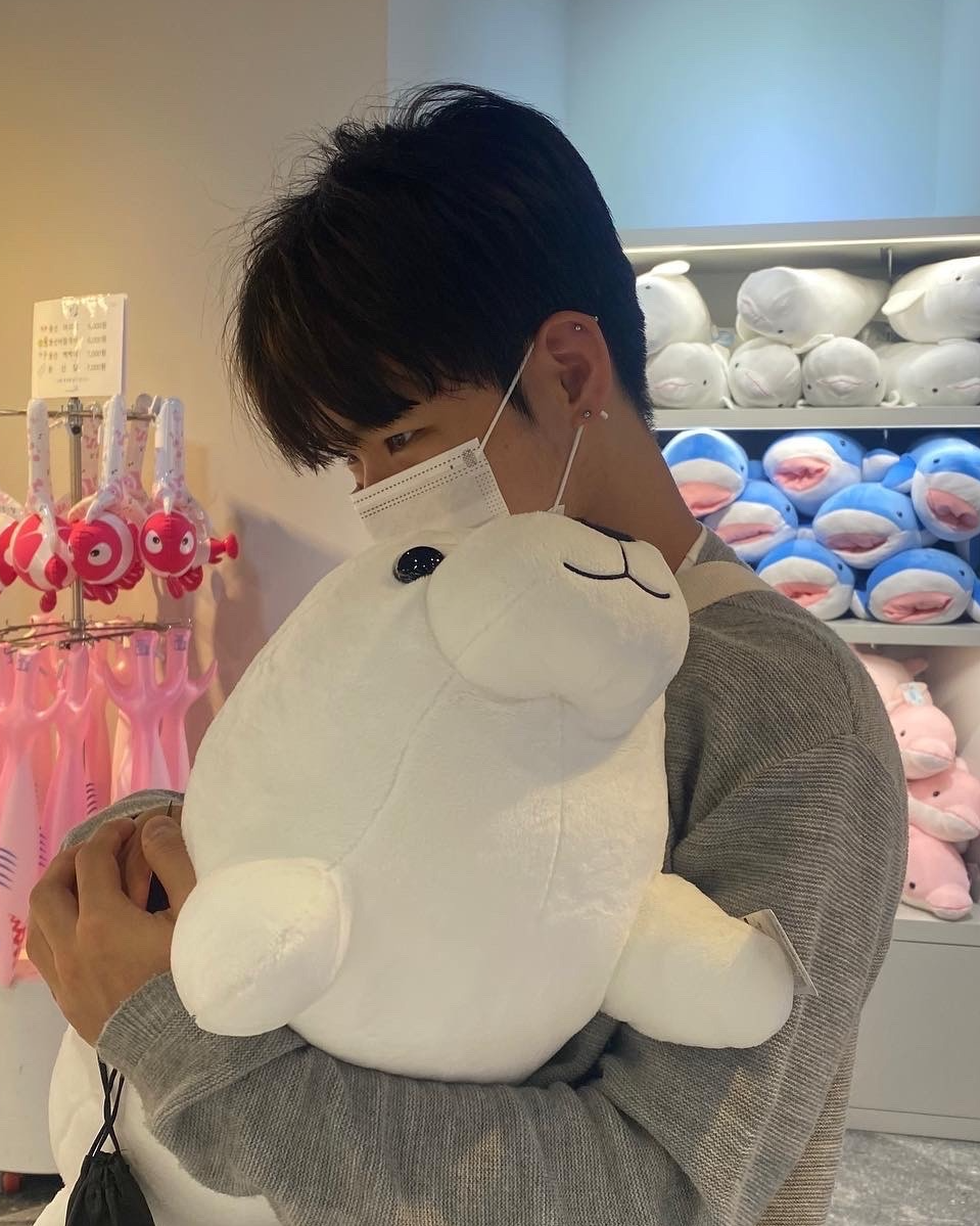 안재울래