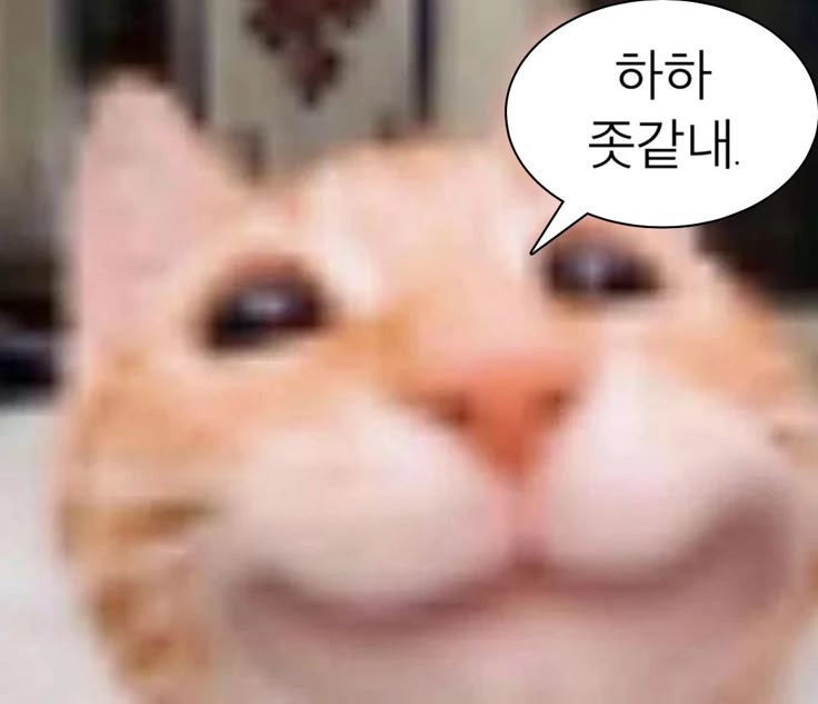누나랑 라콜 하까?