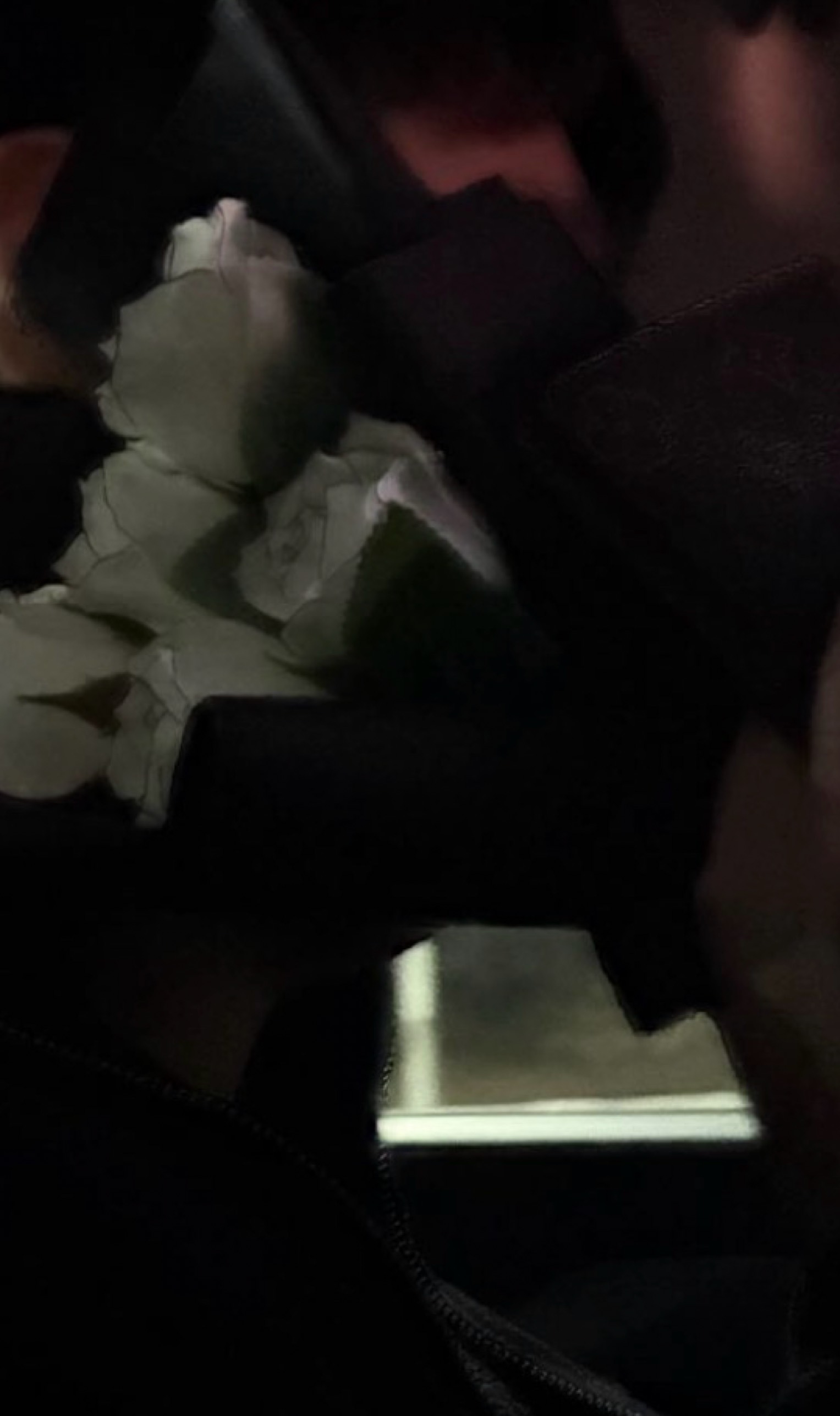 존예 오면 방종 